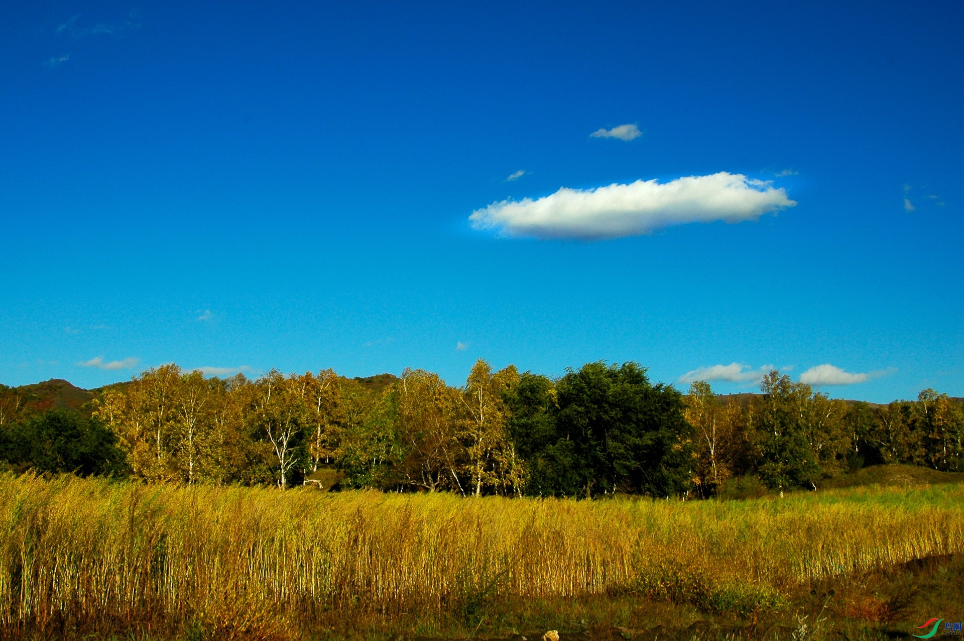 DSC_0426a_����.jpg
