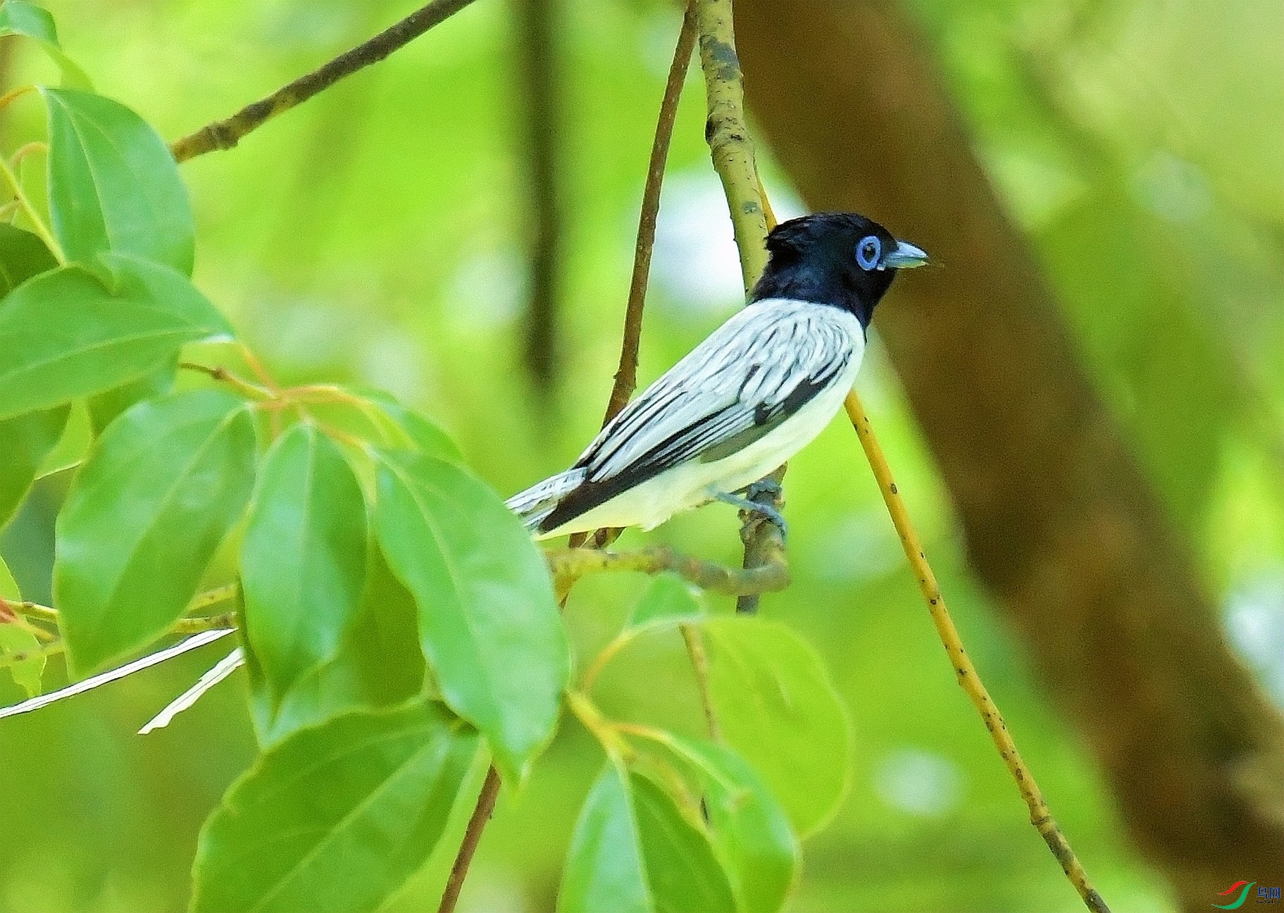 DSC_7307.JPG