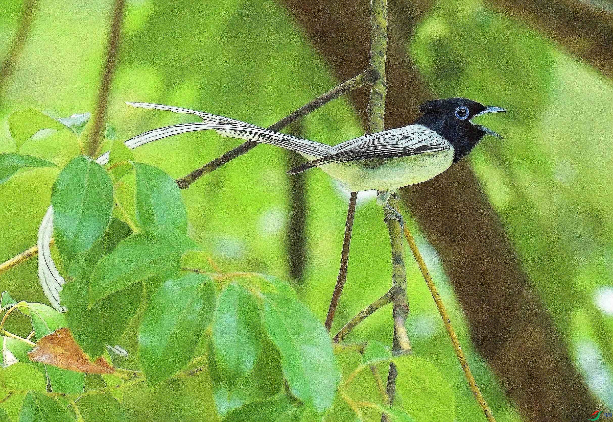 DSC_7316.JPG