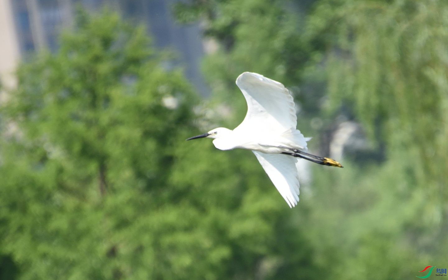 DSC_7434b_����.jpg