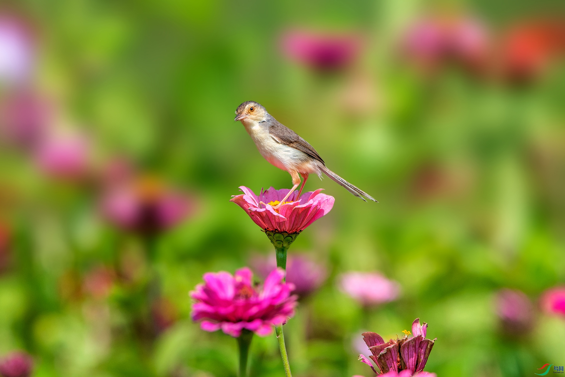 ��_AUU3689����ɫɽ��ݺ(23.9.9)-1.jpg