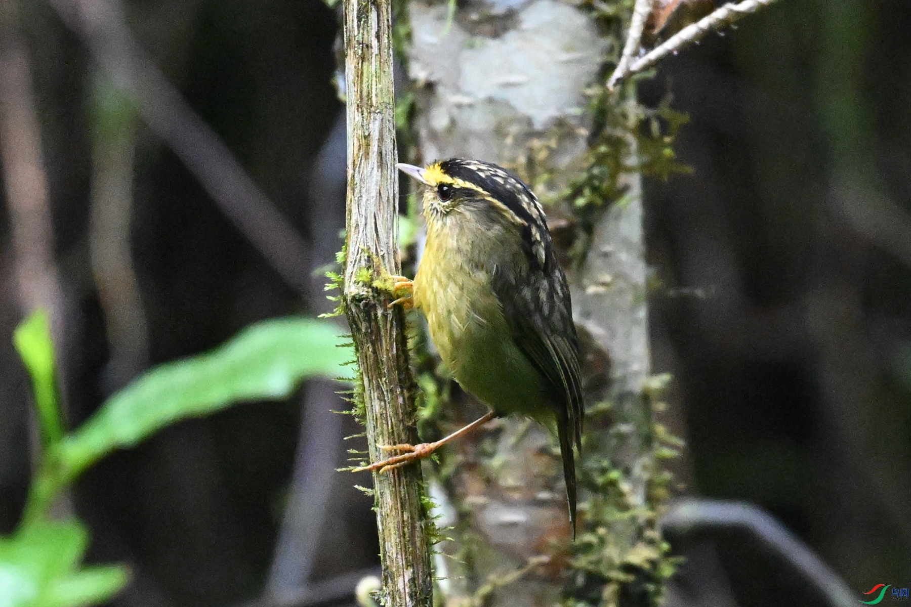 DSC_0368.JPG