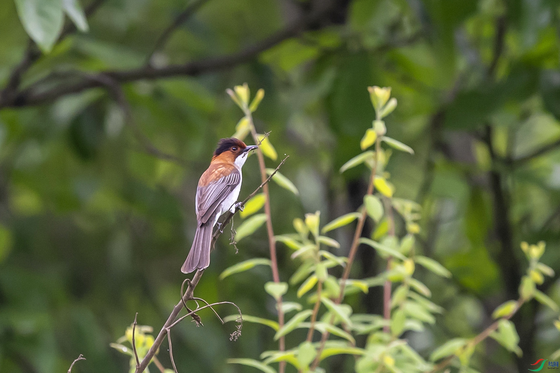 DSC_2329.jpg