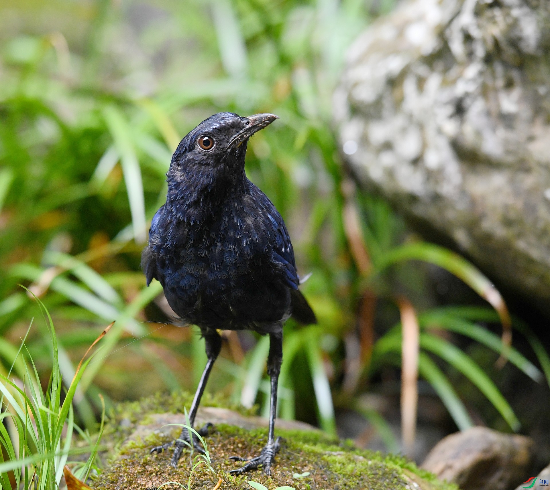 DSC_6162.jpg