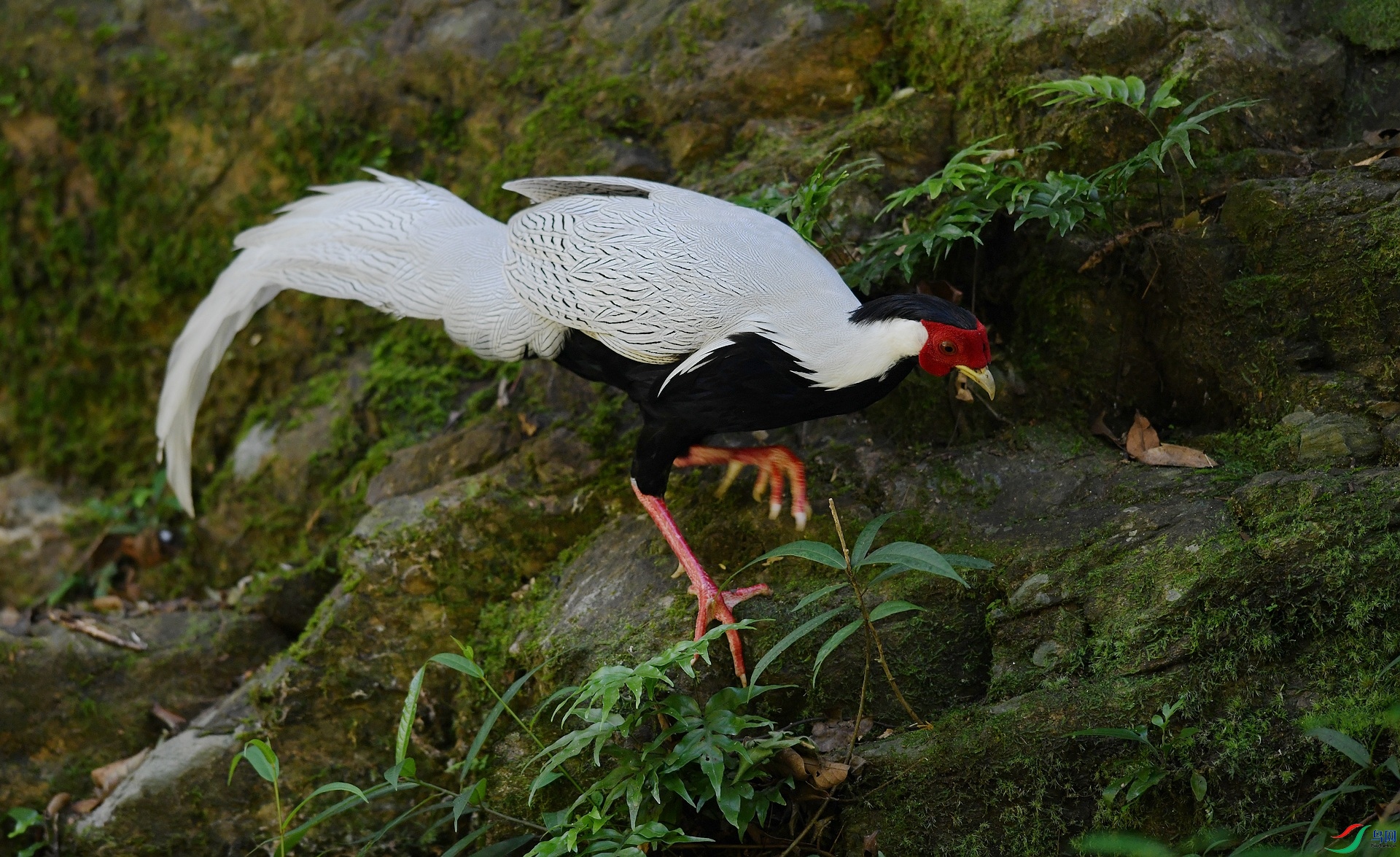 DSC_1584.jpg