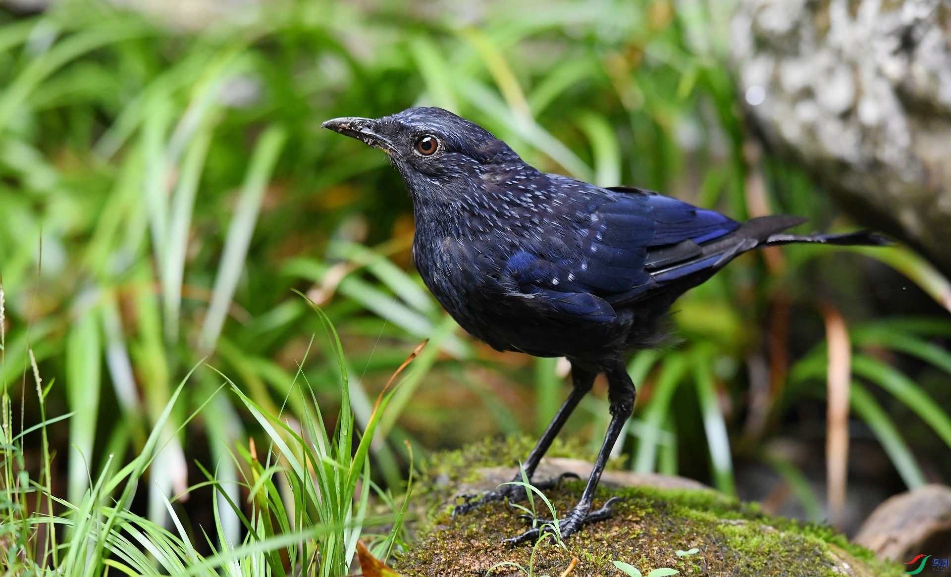 DSC_6171.jpg