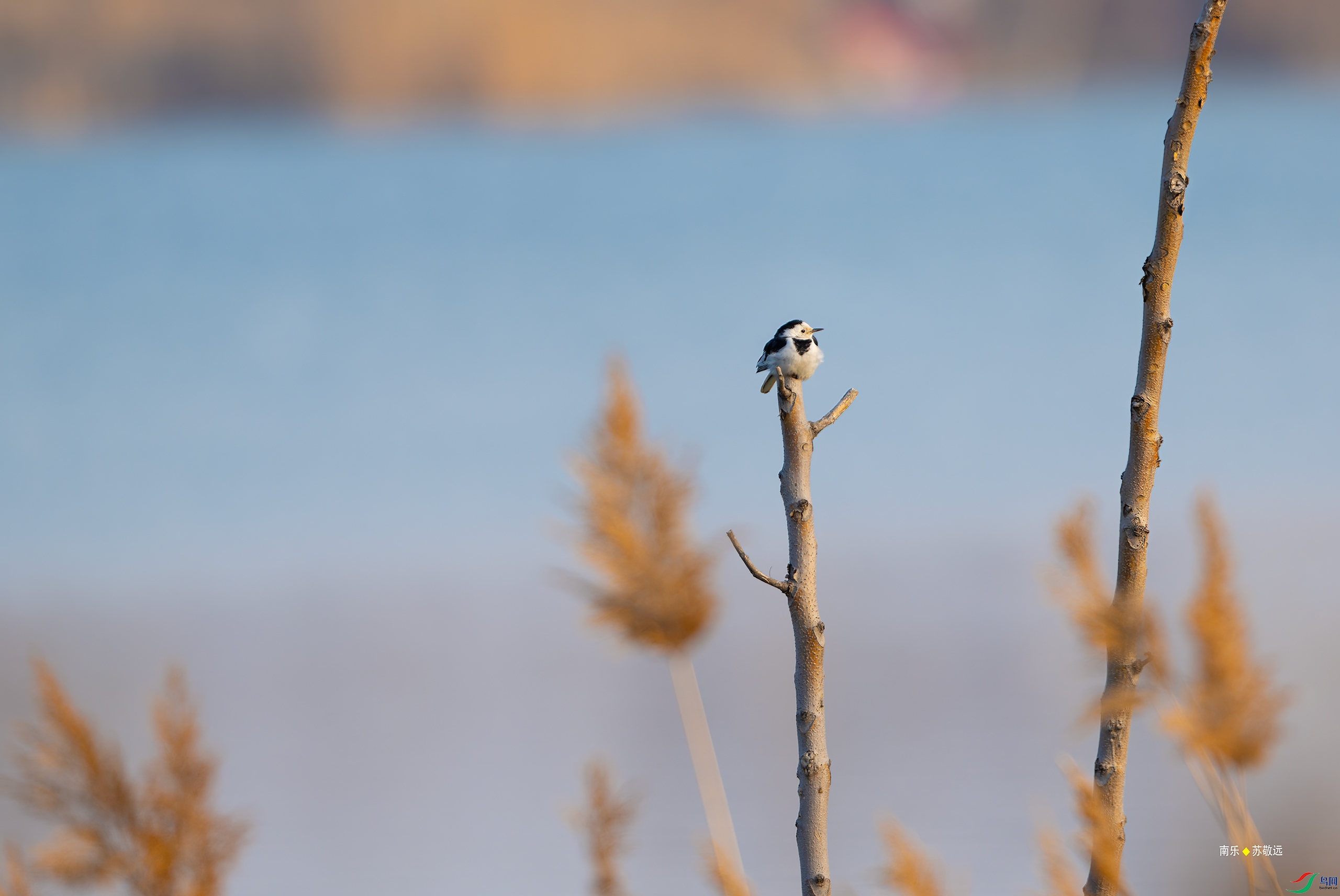 _DSC0042-DxO_С.jpg