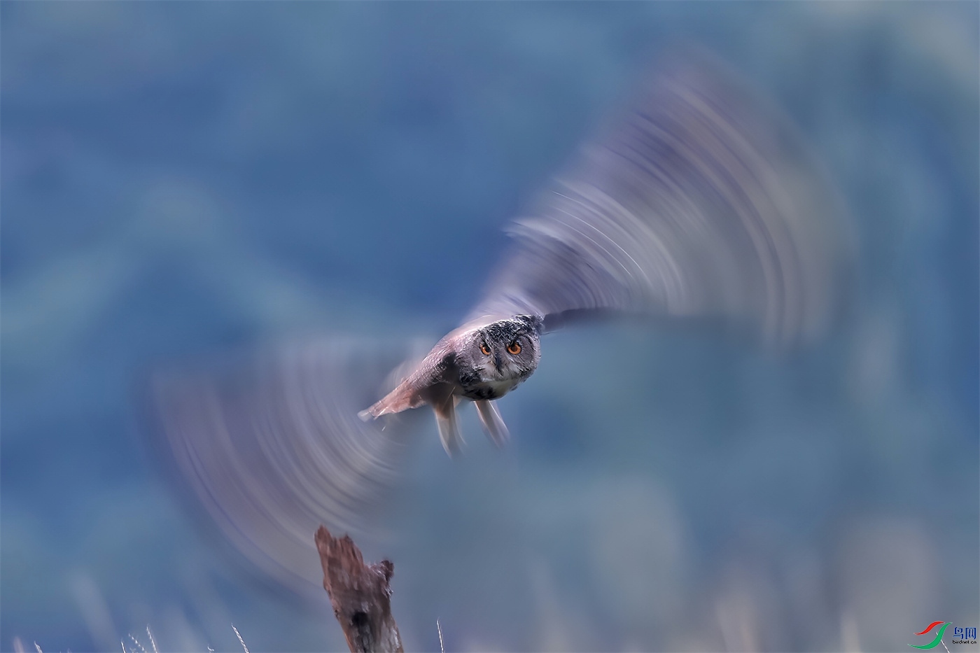 ΢��ͼƬ_20260808195851.jpg