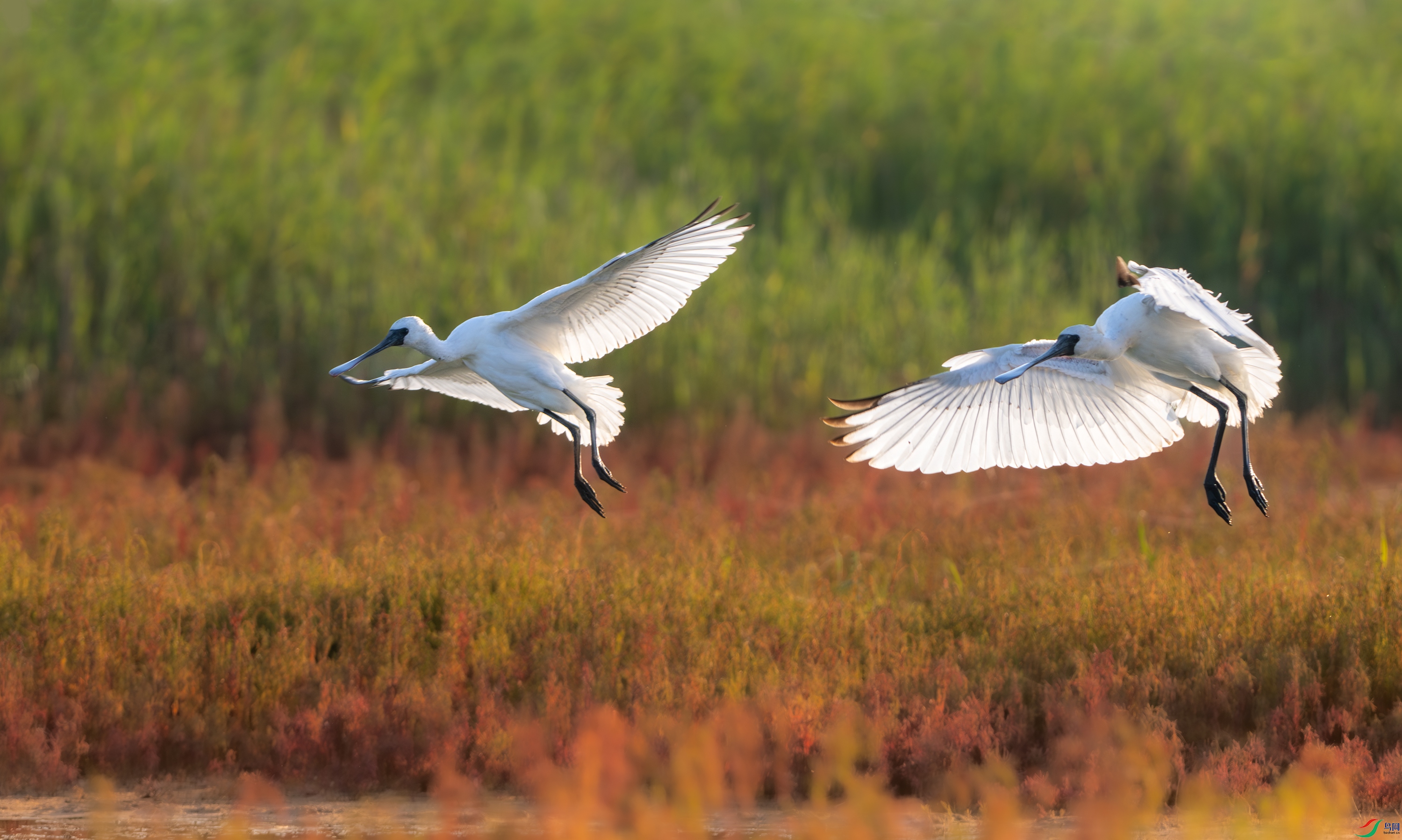DSC_5068-11.jpg