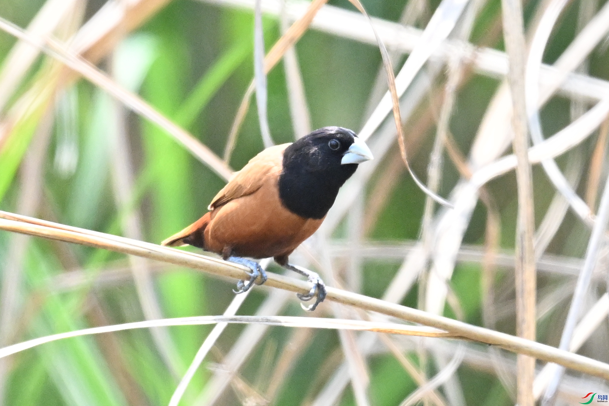 DSC_5978.JPG