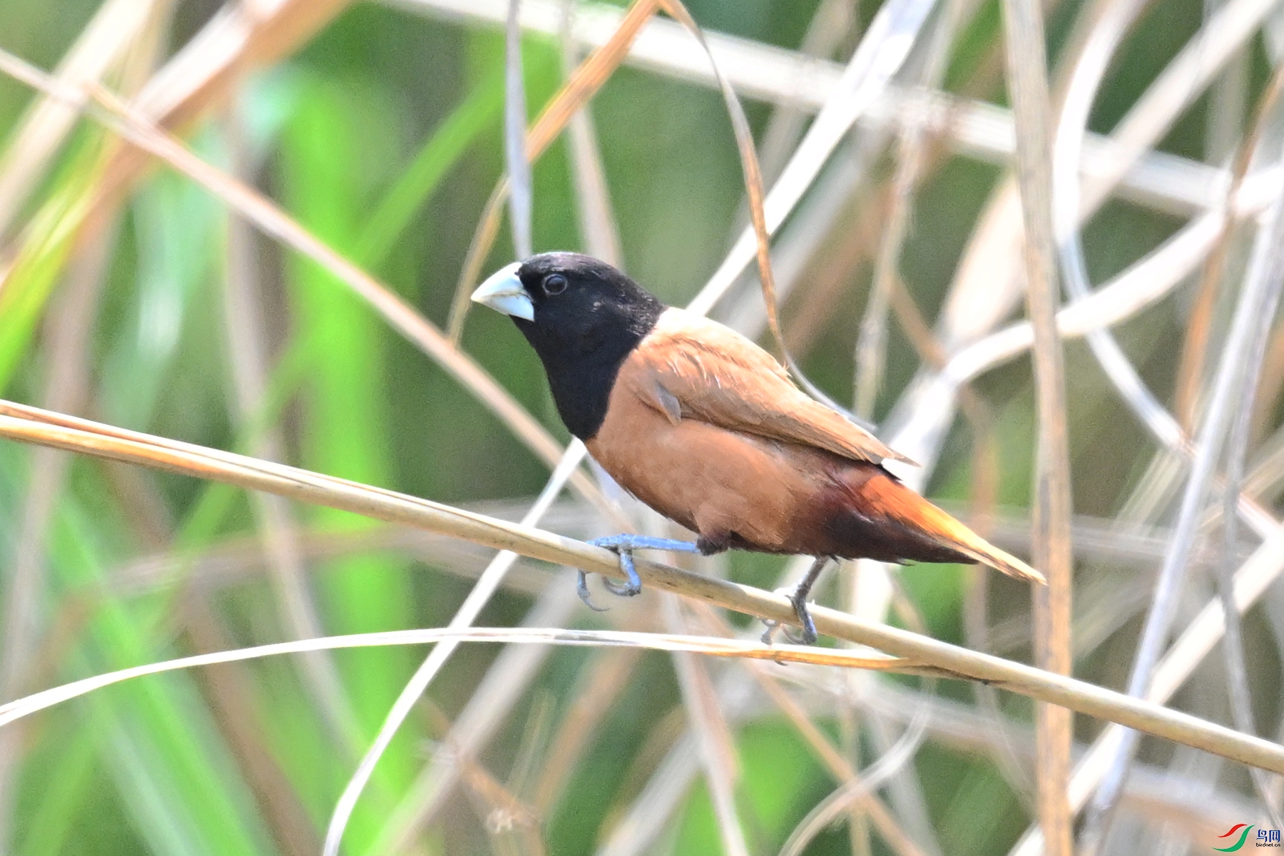DSC_5970.JPG