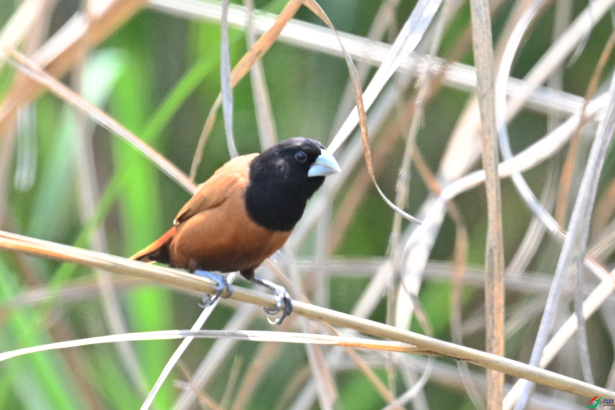 DSC_5980.JPG