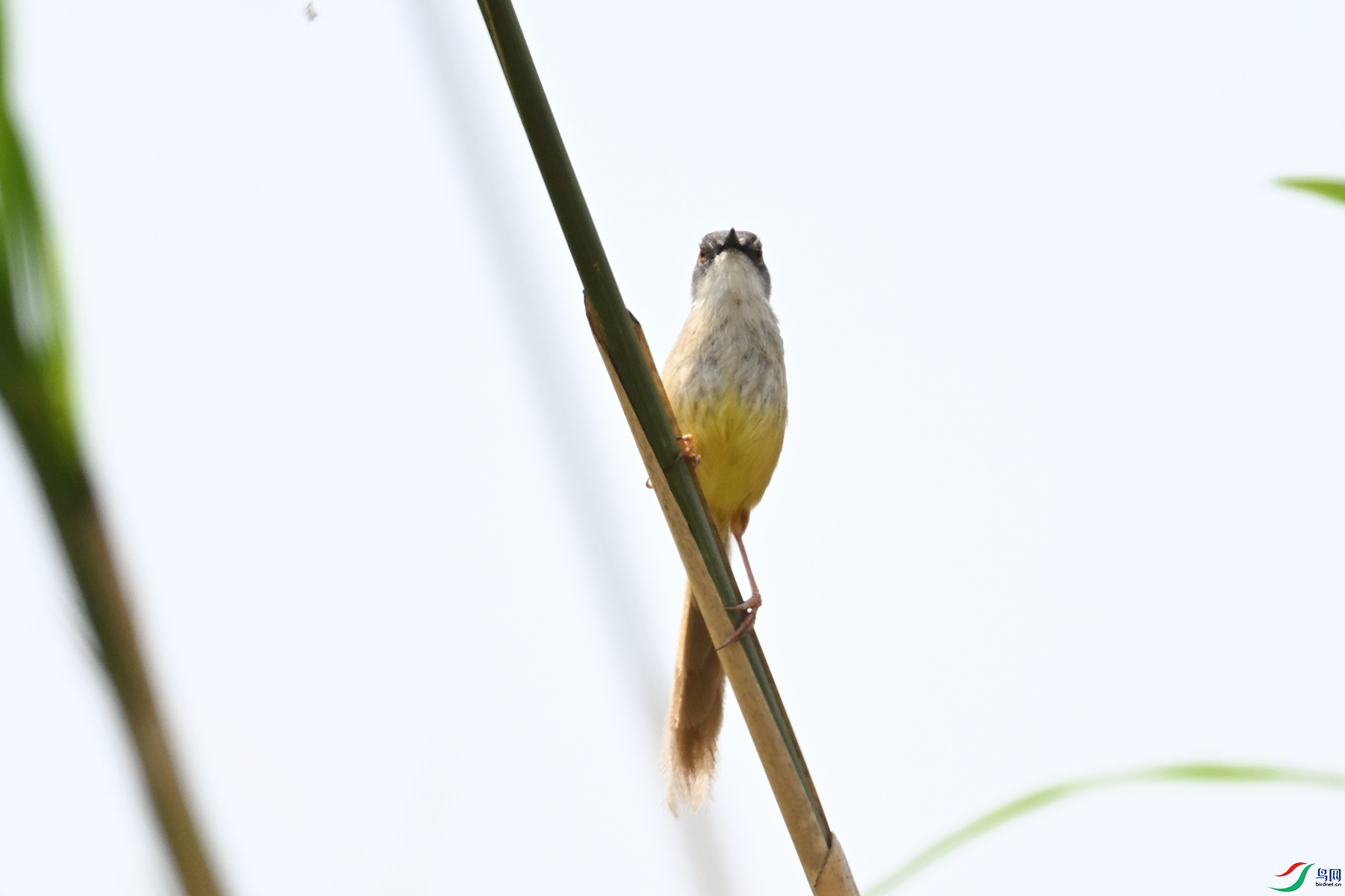 DSC_5937.JPG