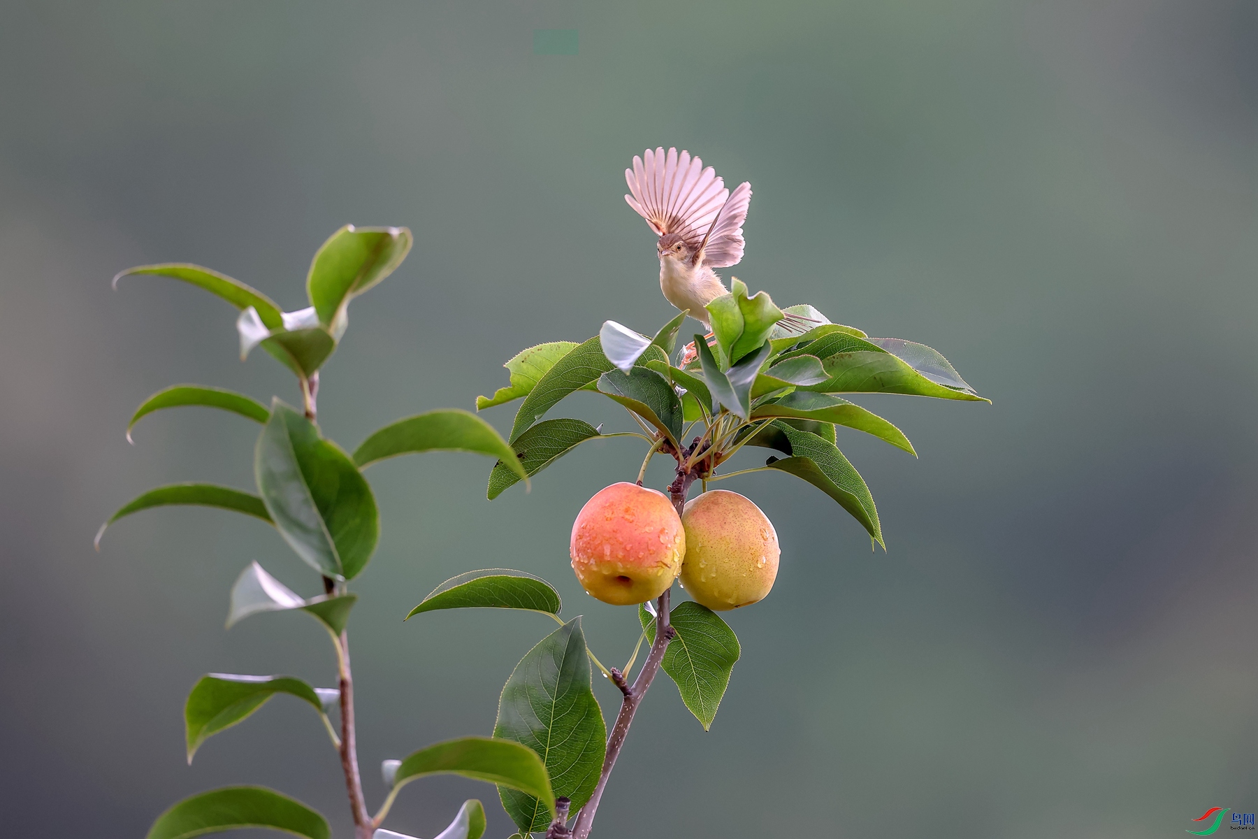 0E2A3531_����.jpg