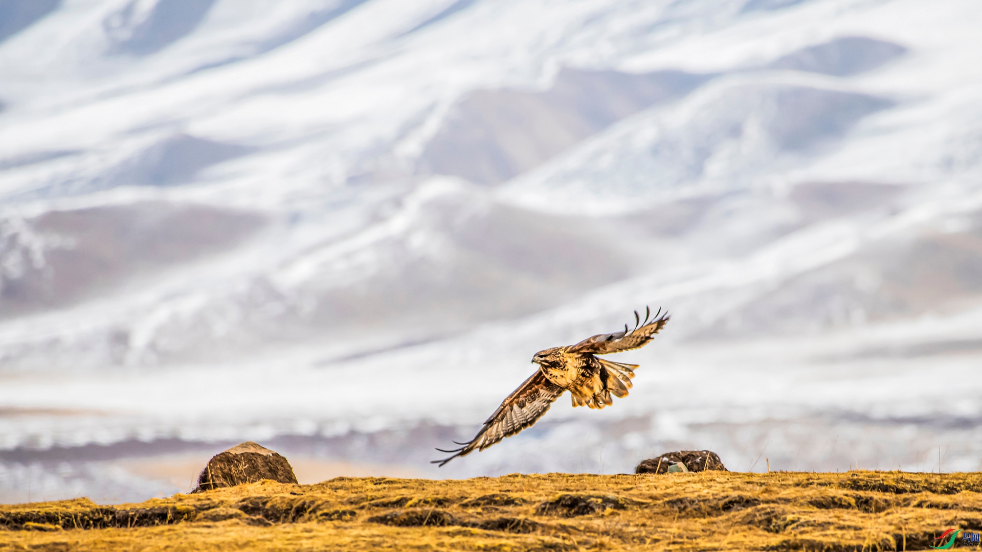 _DSC7934_����.jpg