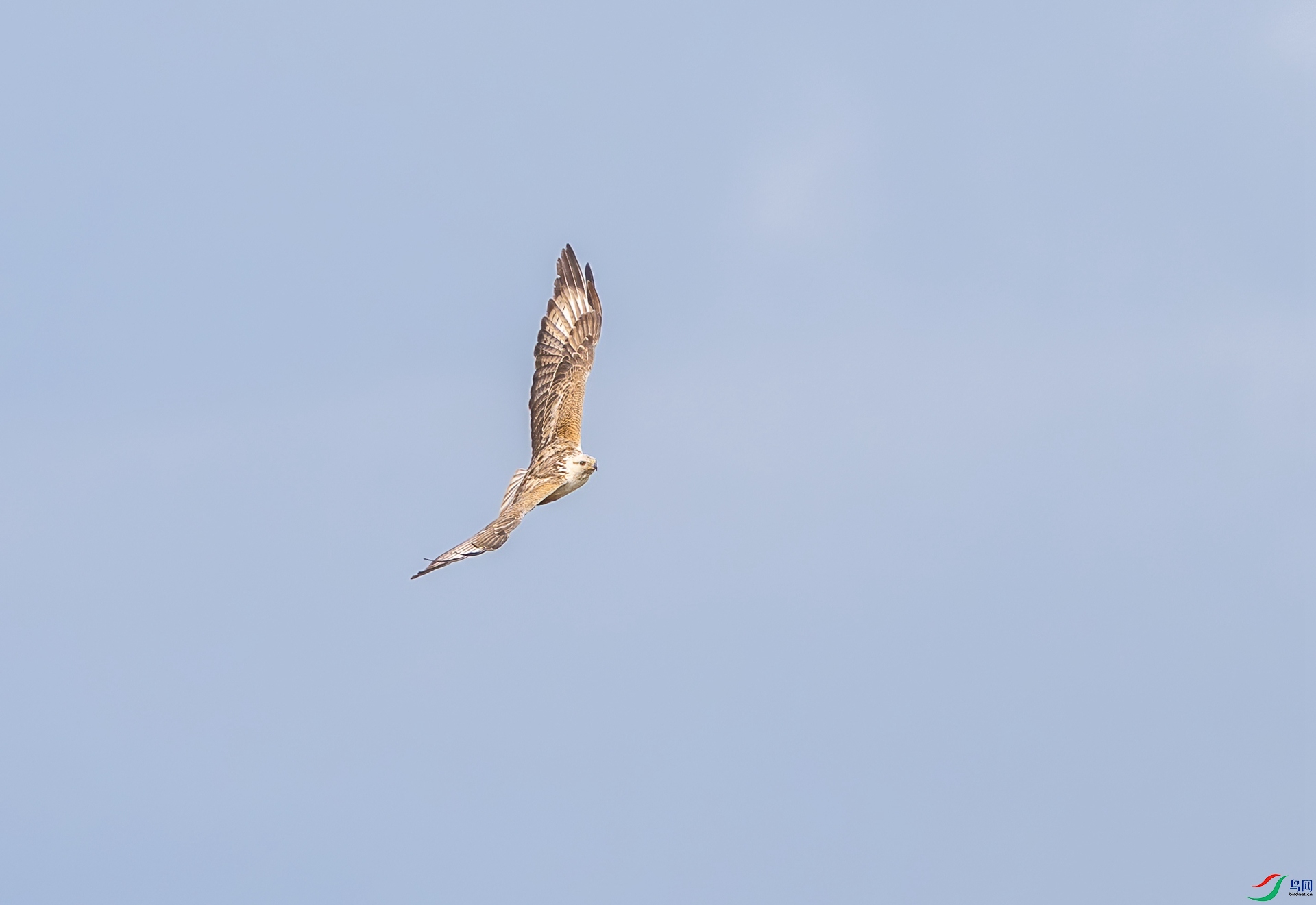 DSC_7661.jpg