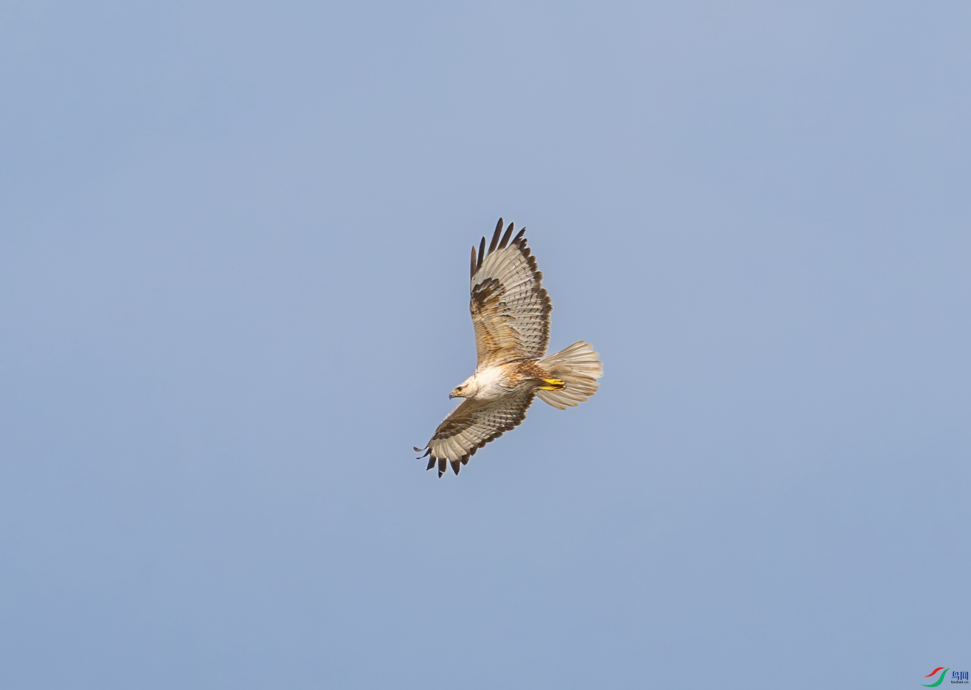 DSC_7693.jpg