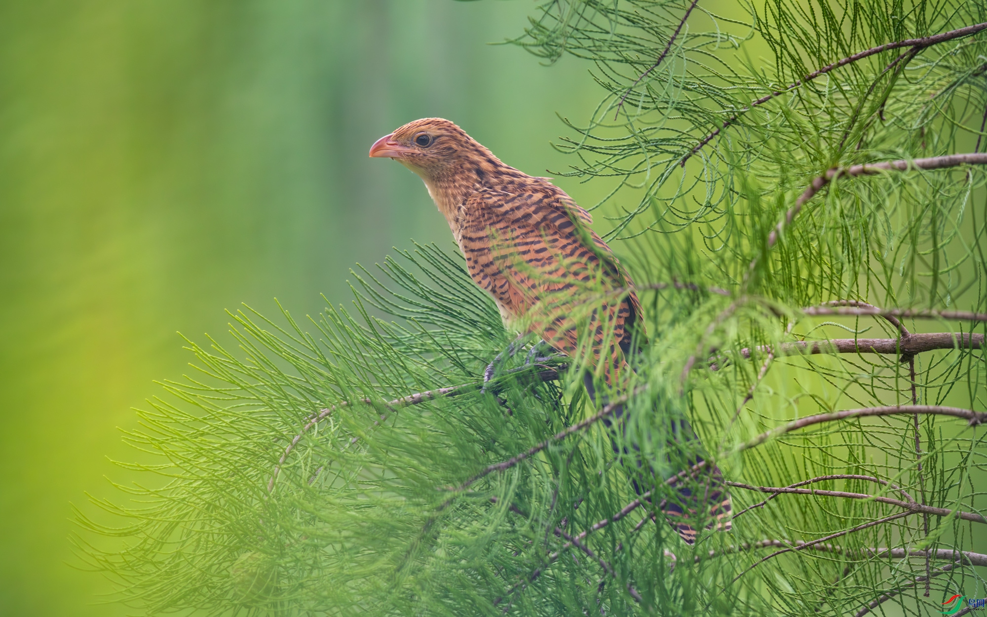 DSC_6124.jpg