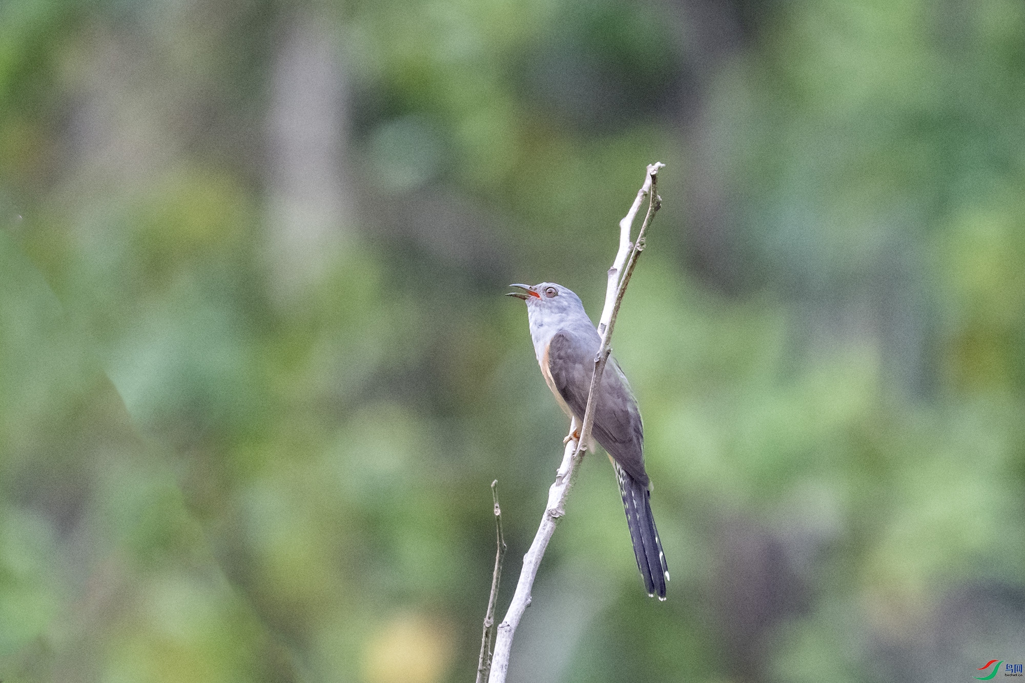 DSC_7802.jpg