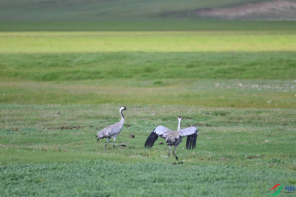 DSC_3231_����.jpg
