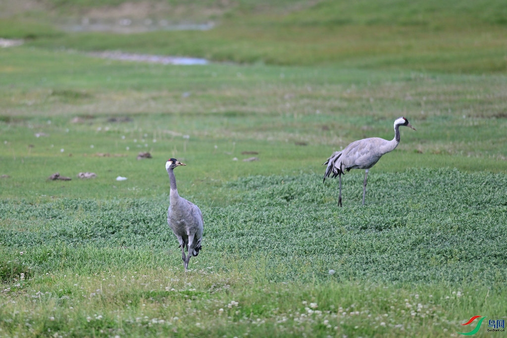 DSC_3195_����.jpg