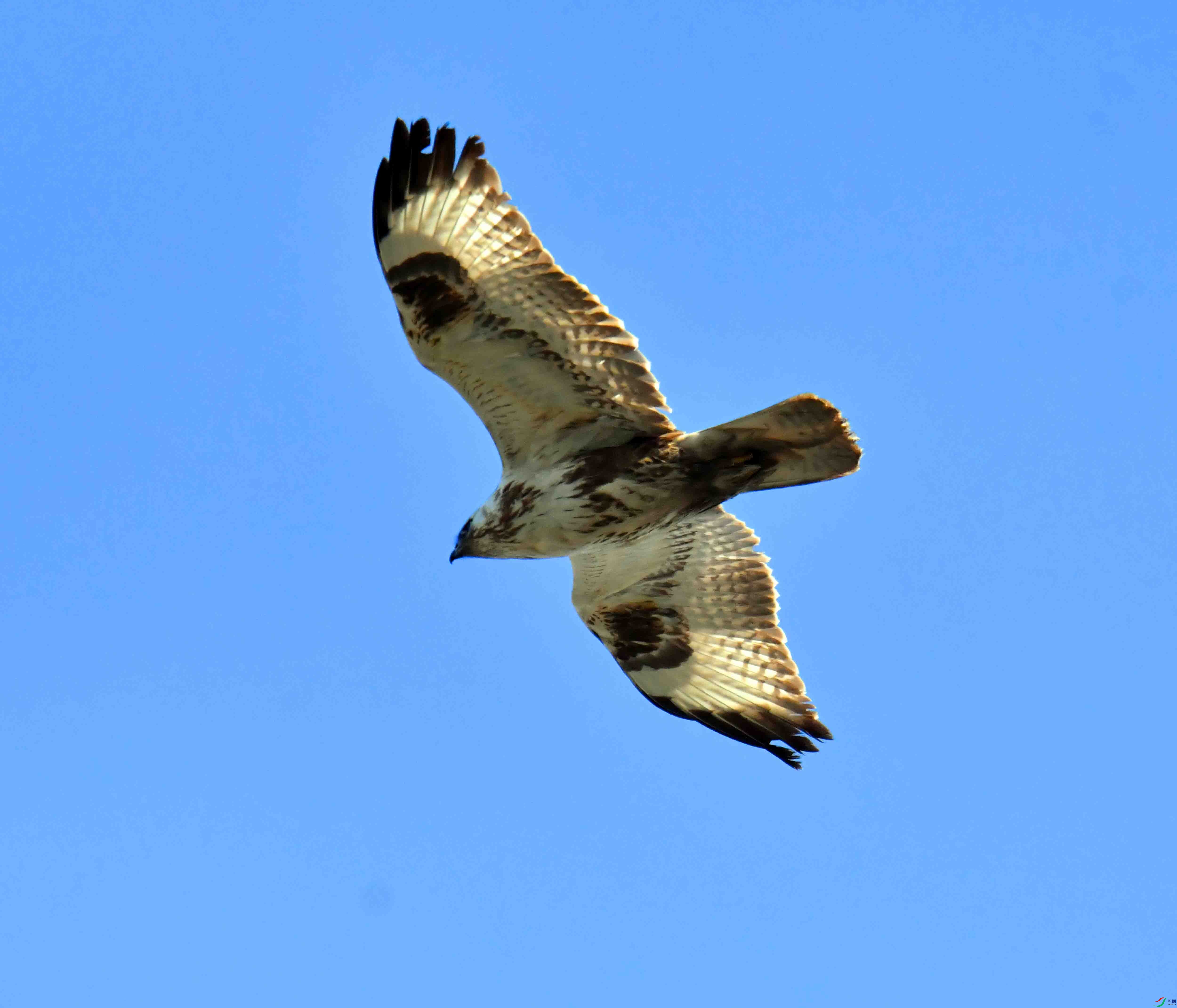 DSC_2482.JPG