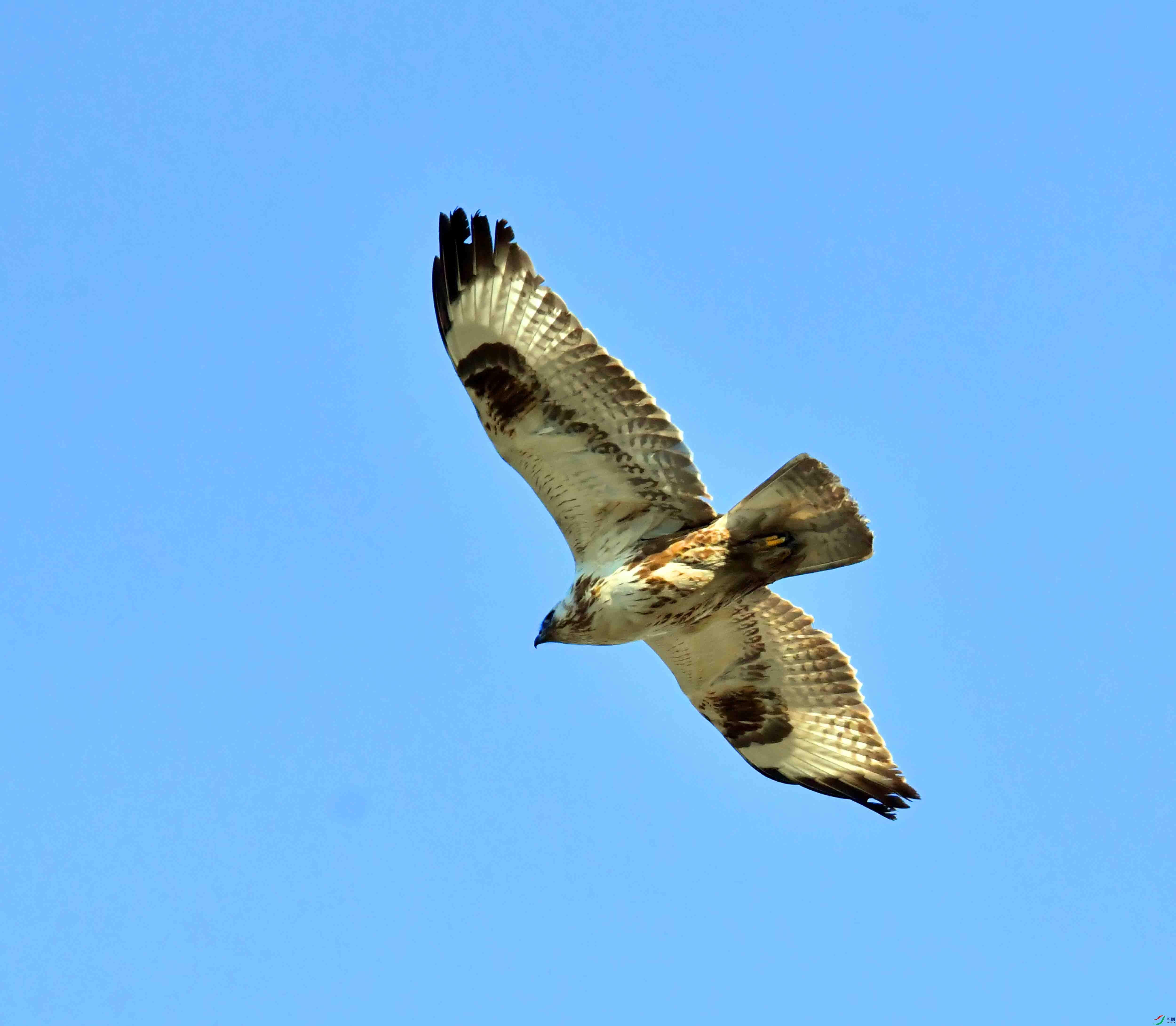 DSC_2517.JPG