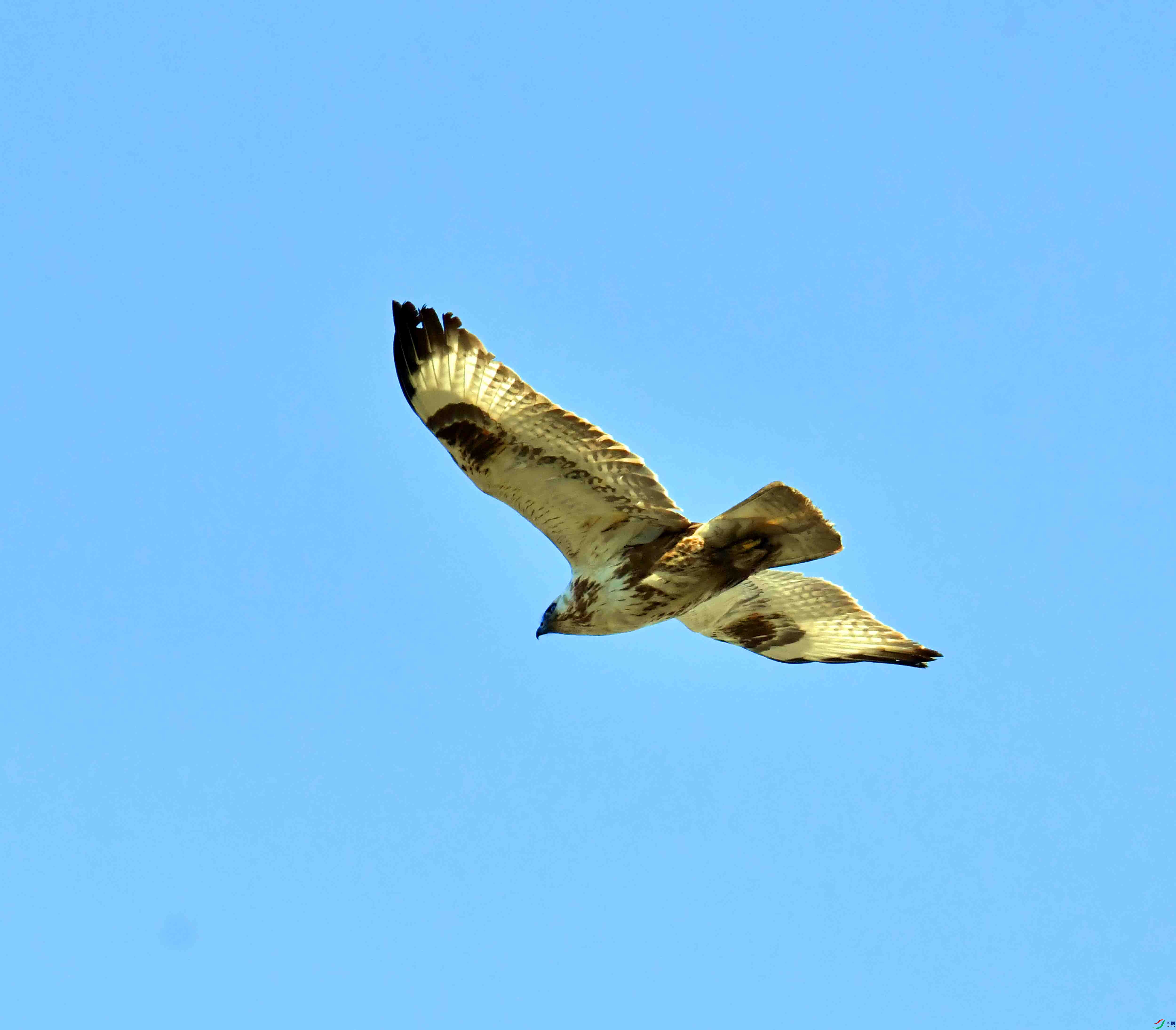 DSC_2524.JPG