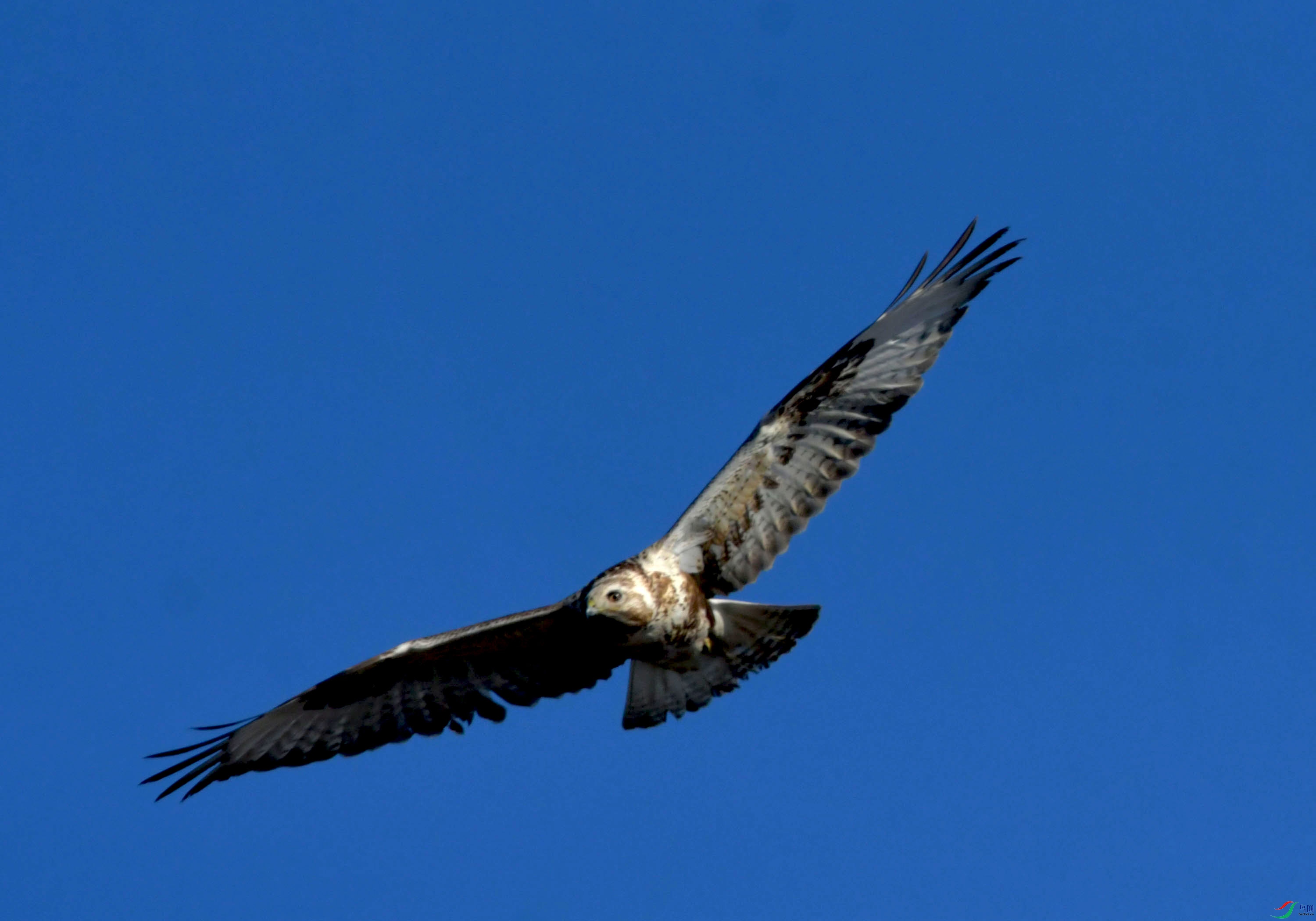DSC_2623.JPG
