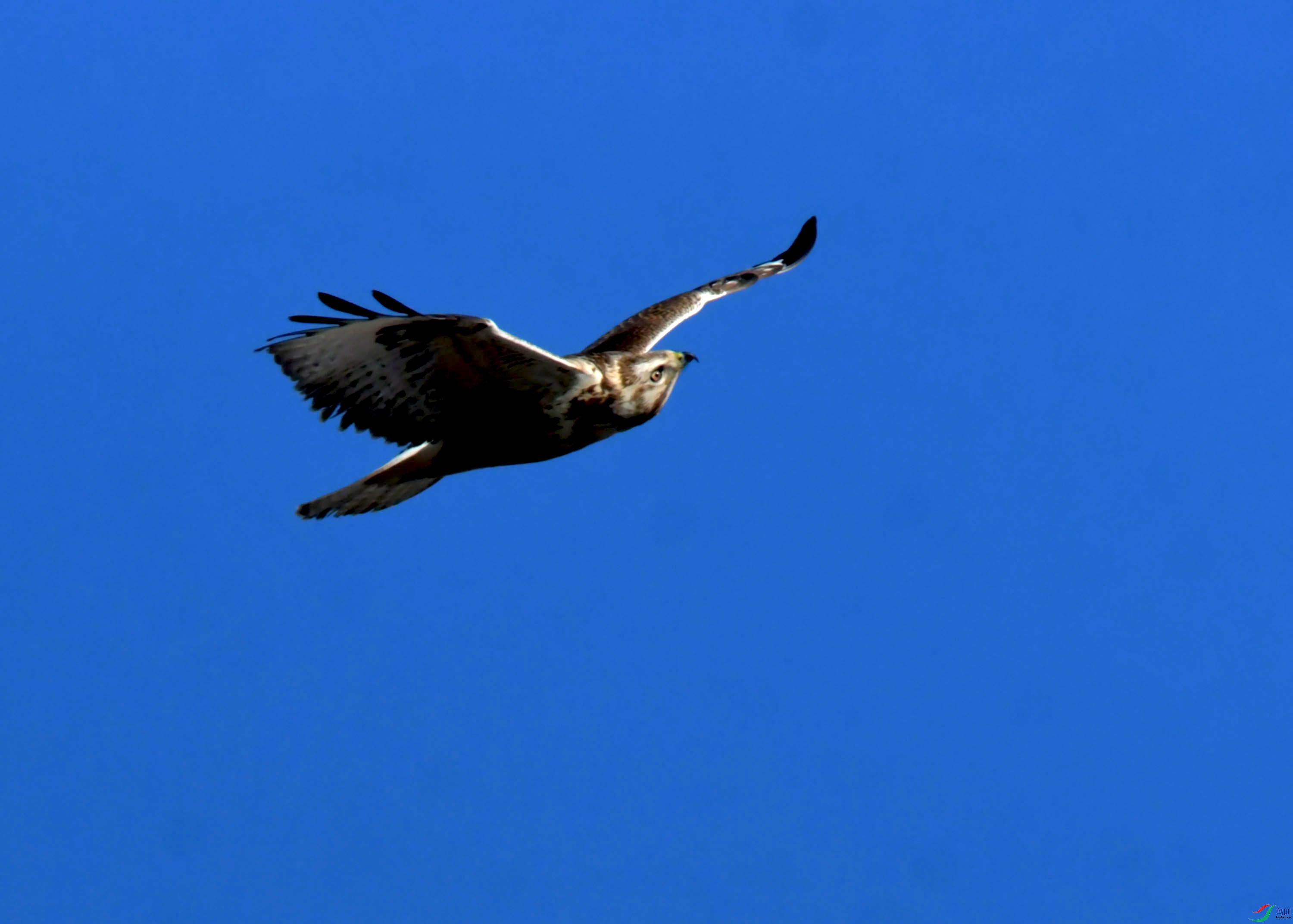 DSC_2628.JPG
