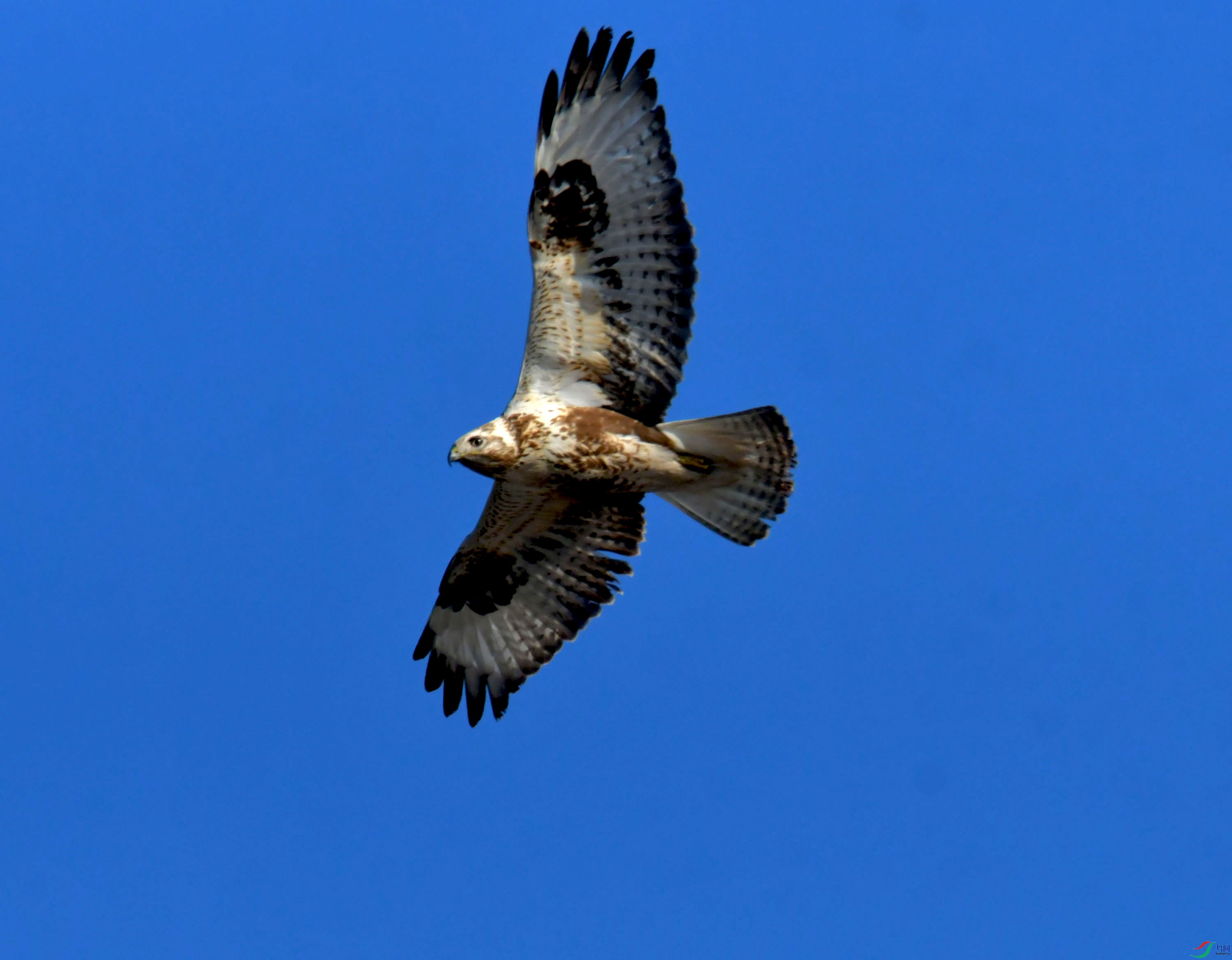 DSC_2624.JPG