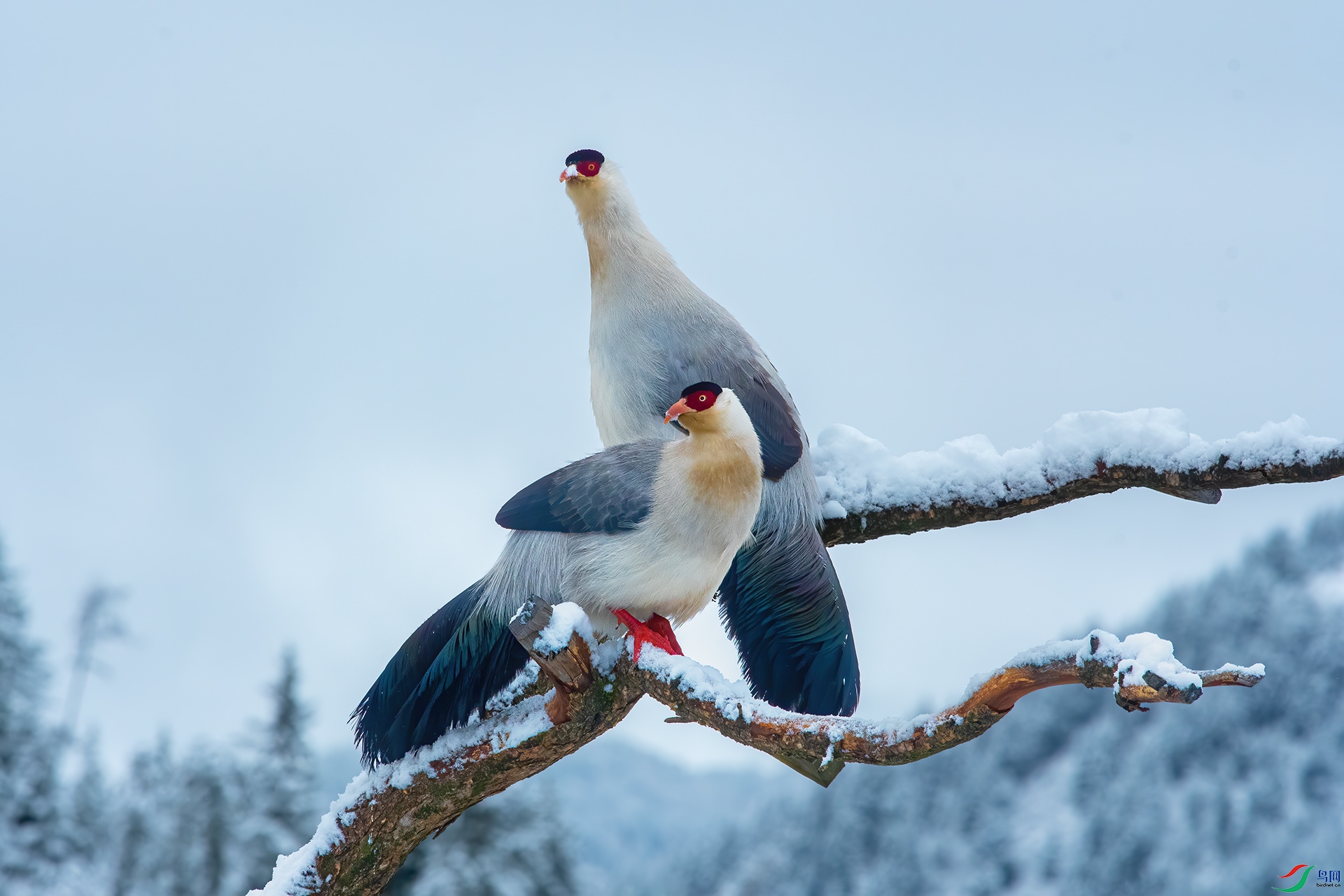 DSC_8400-1.jpg