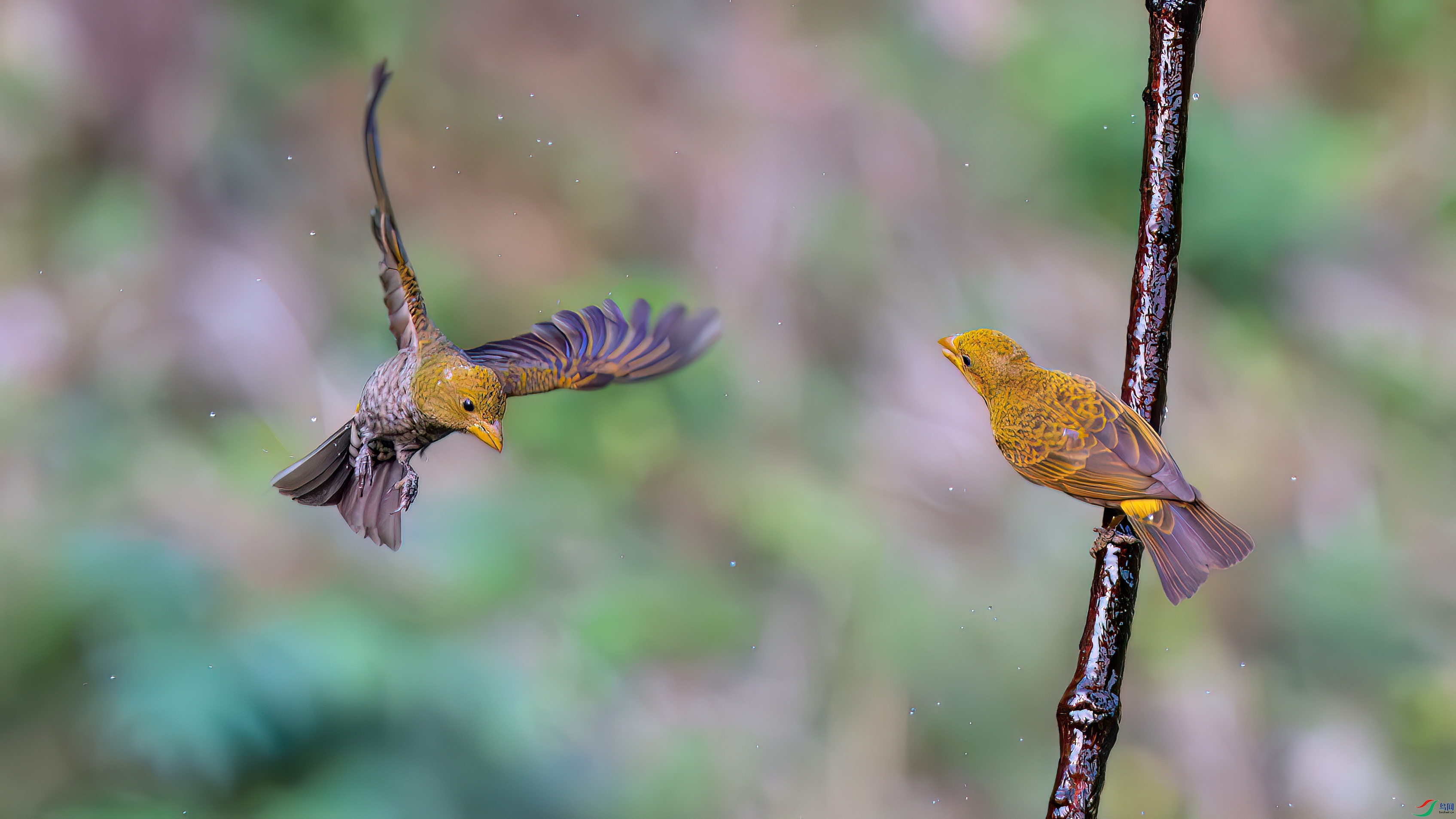 DSC_7609.jpg