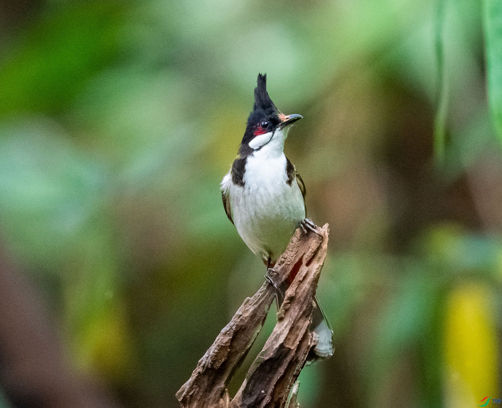DSC_3691_����.jpg