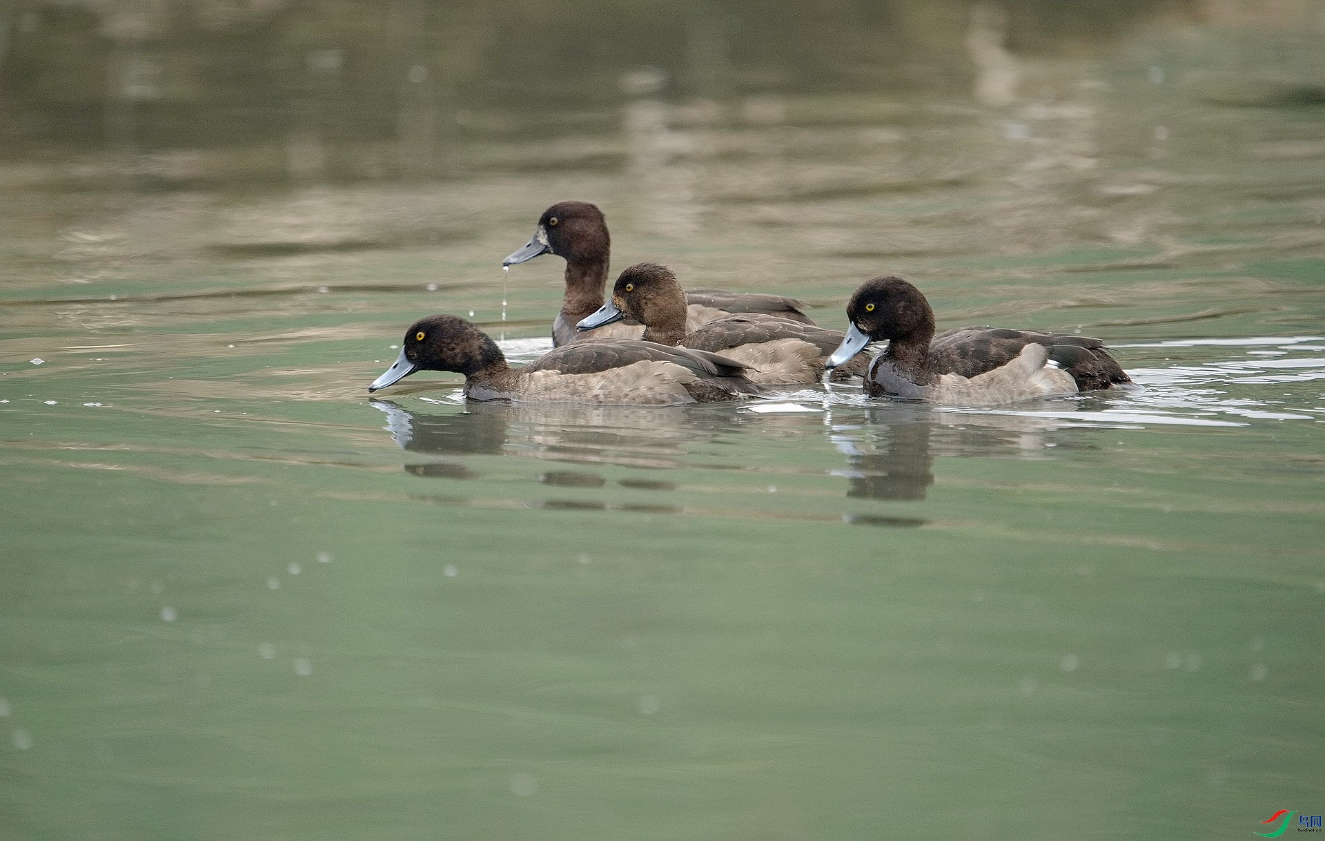 1DS_5807.jpg