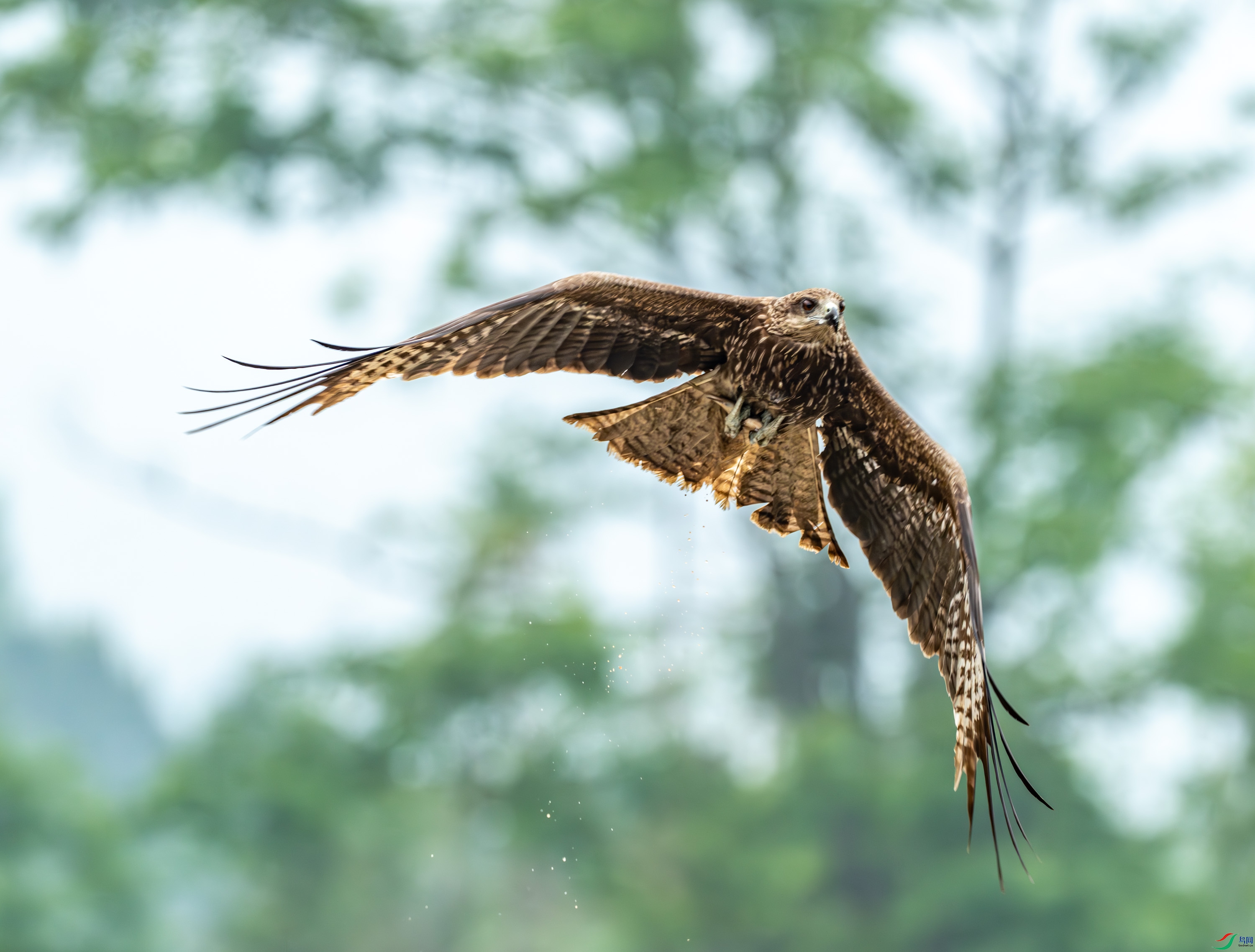 ��� (235 - 253).jpg