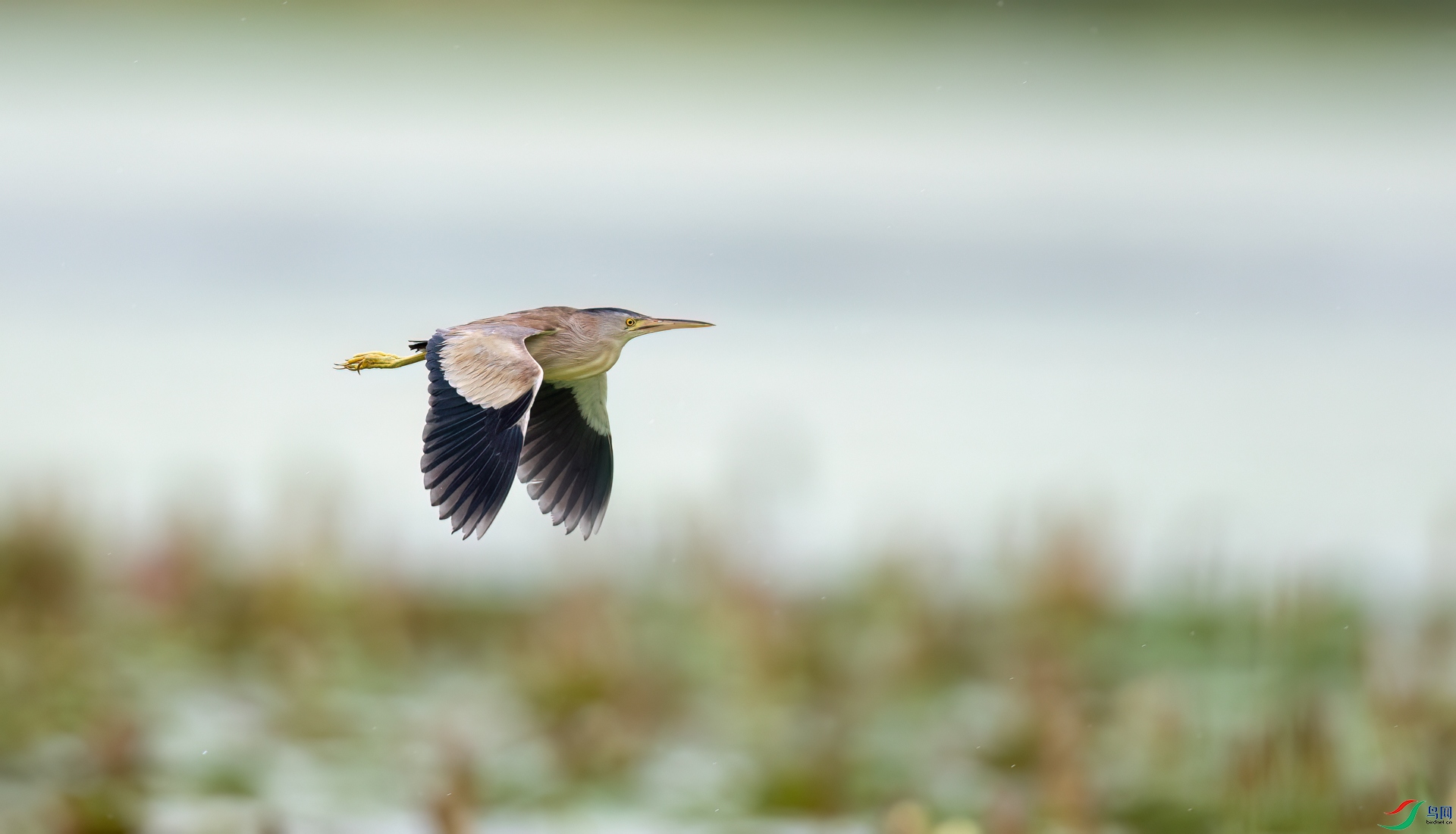 0L7A4594.jpg