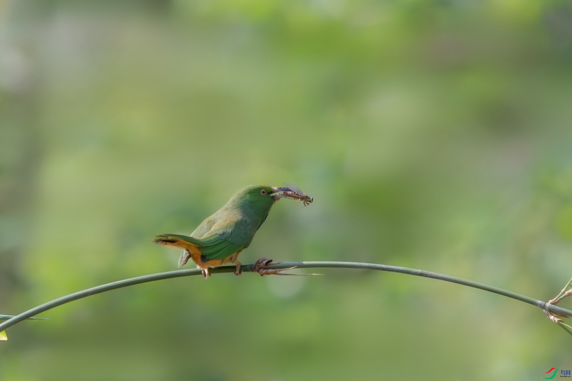 DSC_4135.jpg