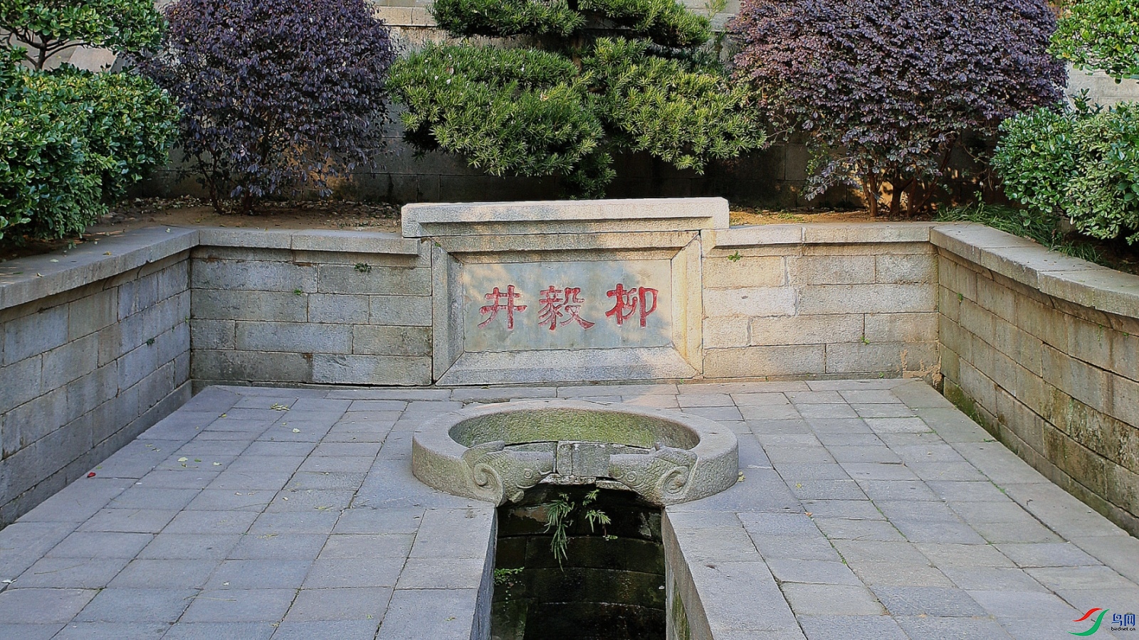 PP1A5597_����_����.jpg