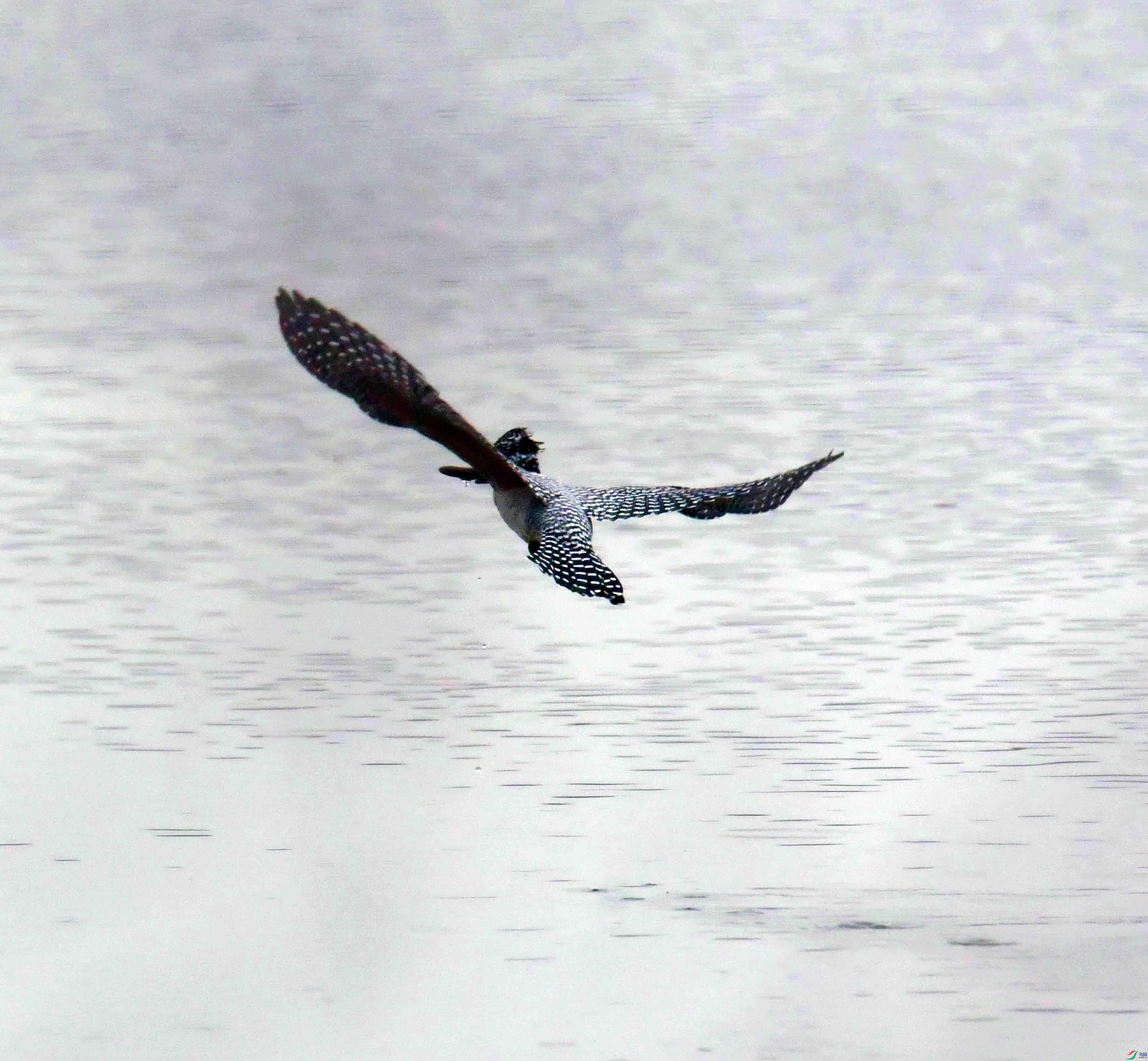 DSC_2139.JPG