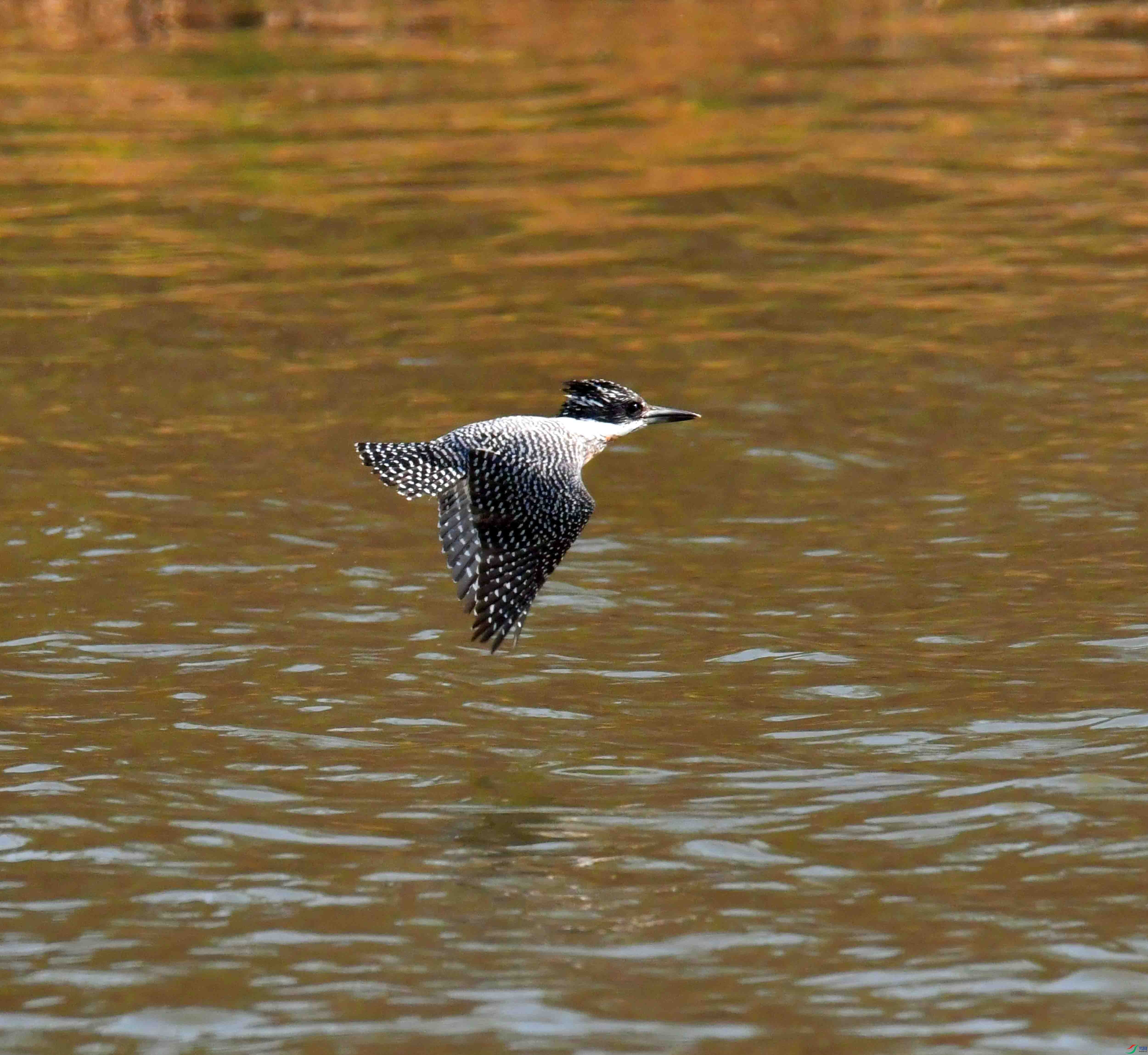 DSC_2159.JPG