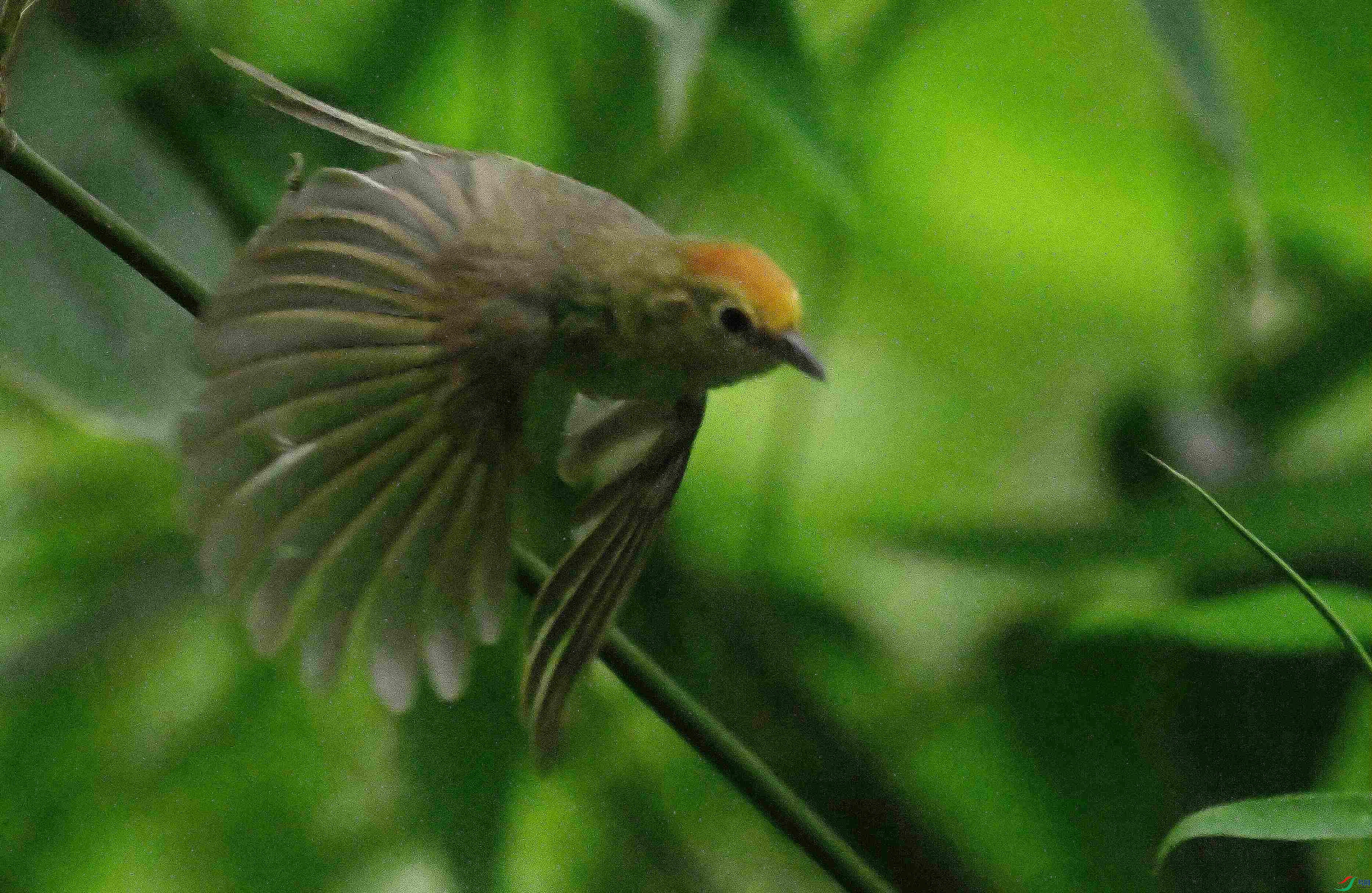 DSC_8665_����.jpg