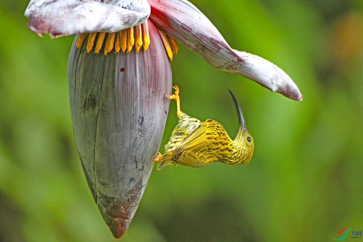 0B8A0152m.jpg