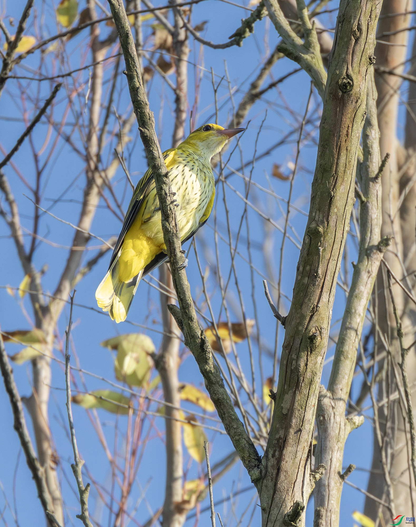5E4A0228 ���� 2.jpg