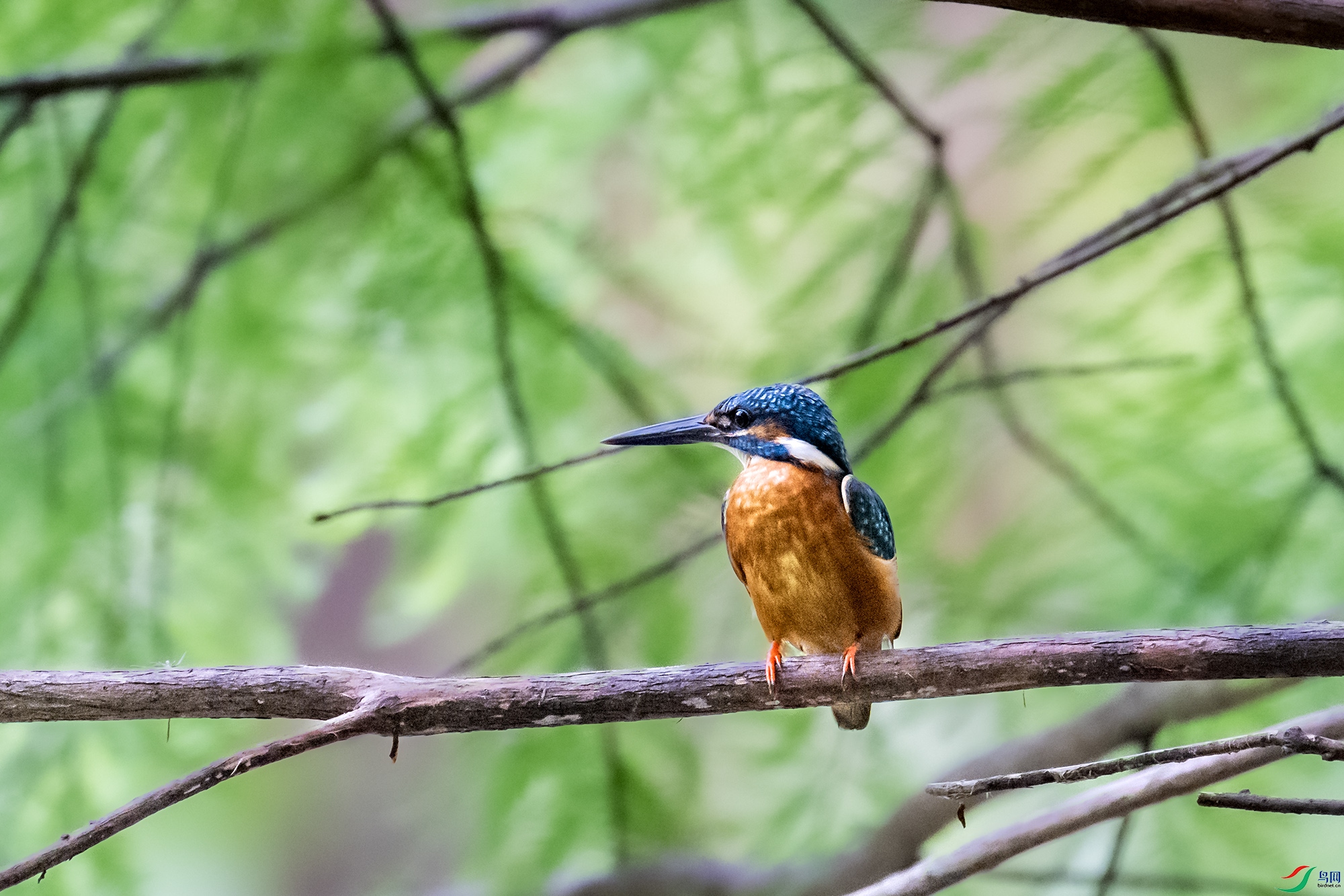 DSC_3687.jpg