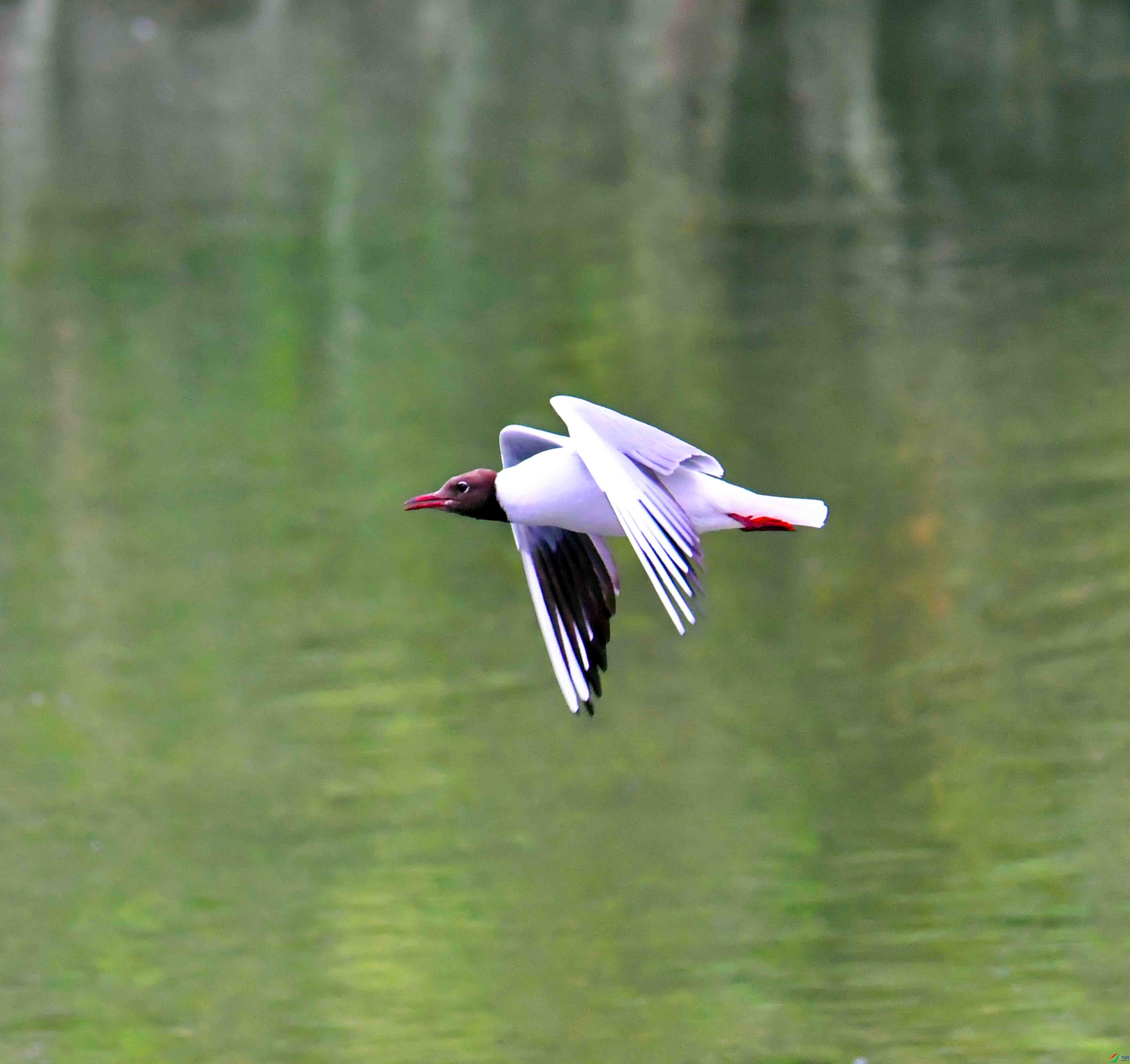 DSC_5450.JPG