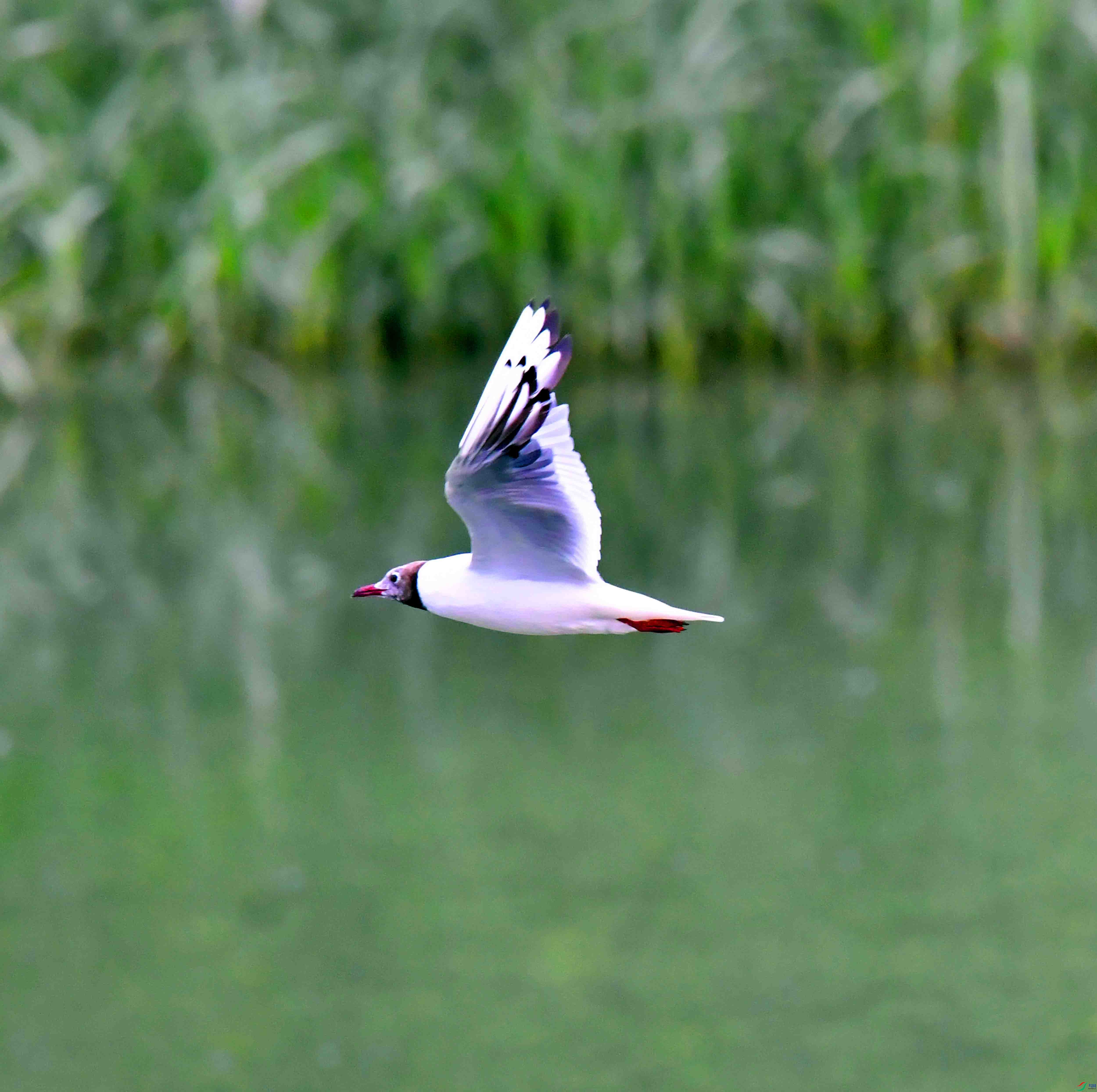 DSC_5456.JPG