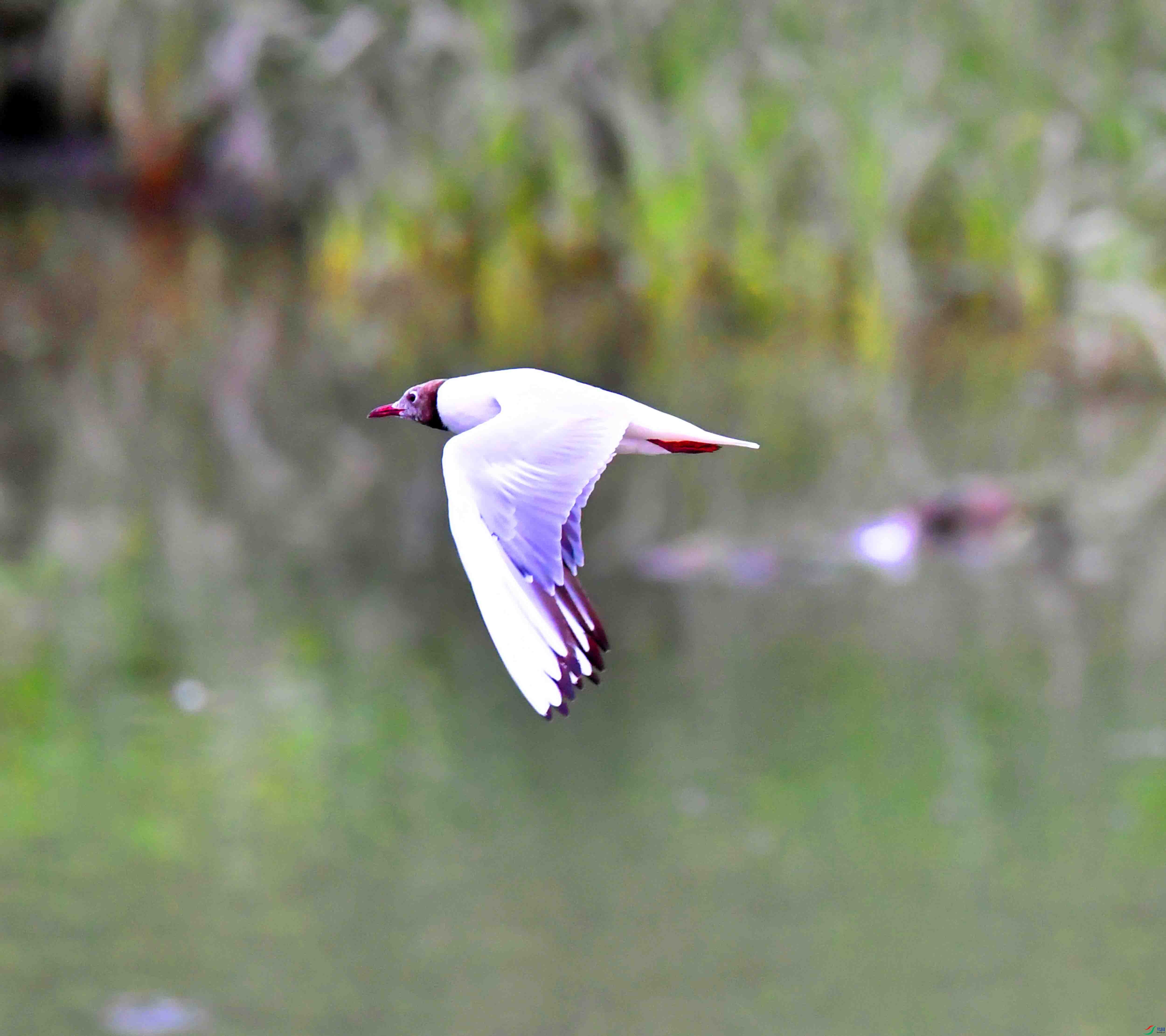 DSC_5457.JPG