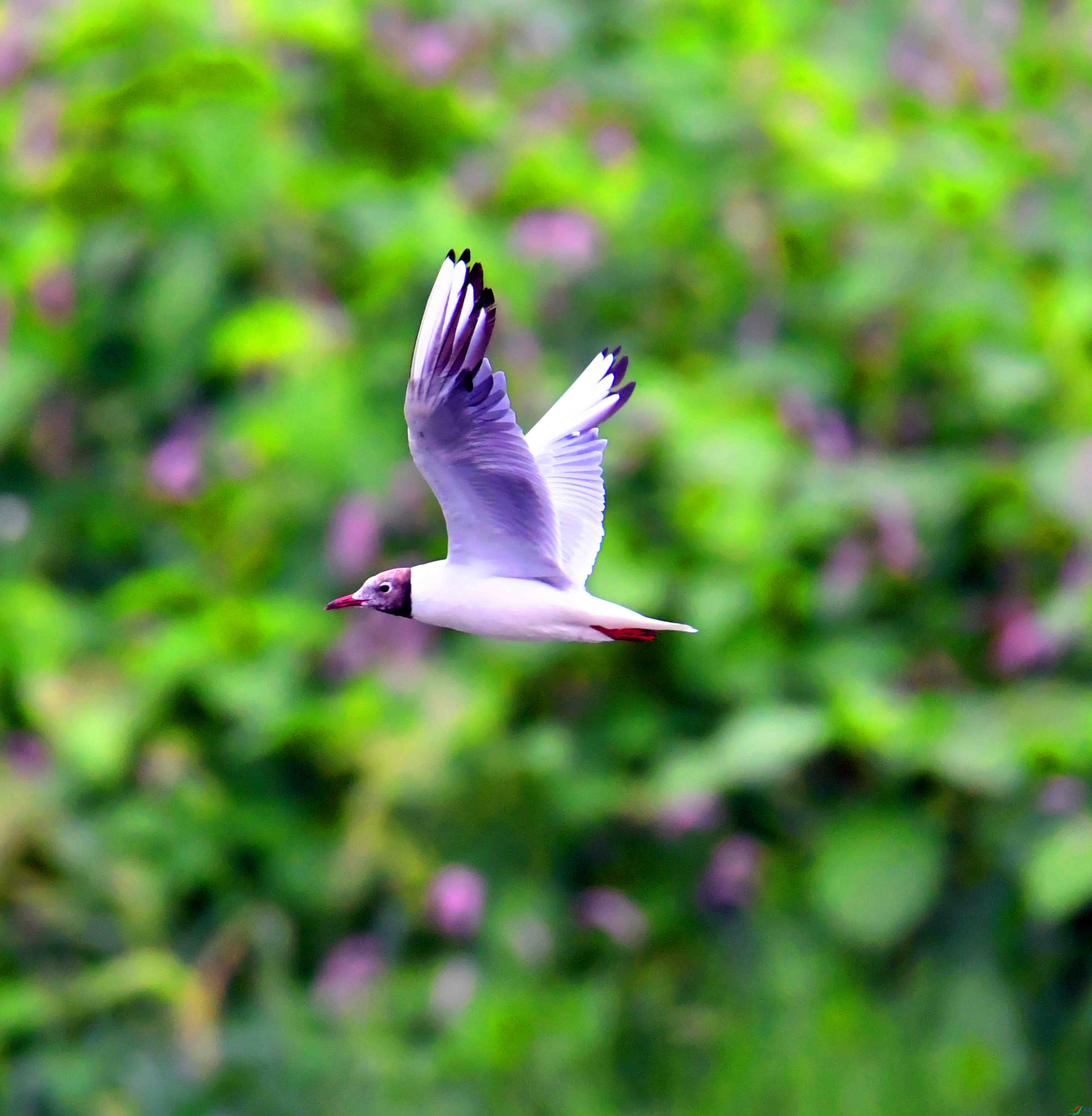 DSC_5458.JPG
