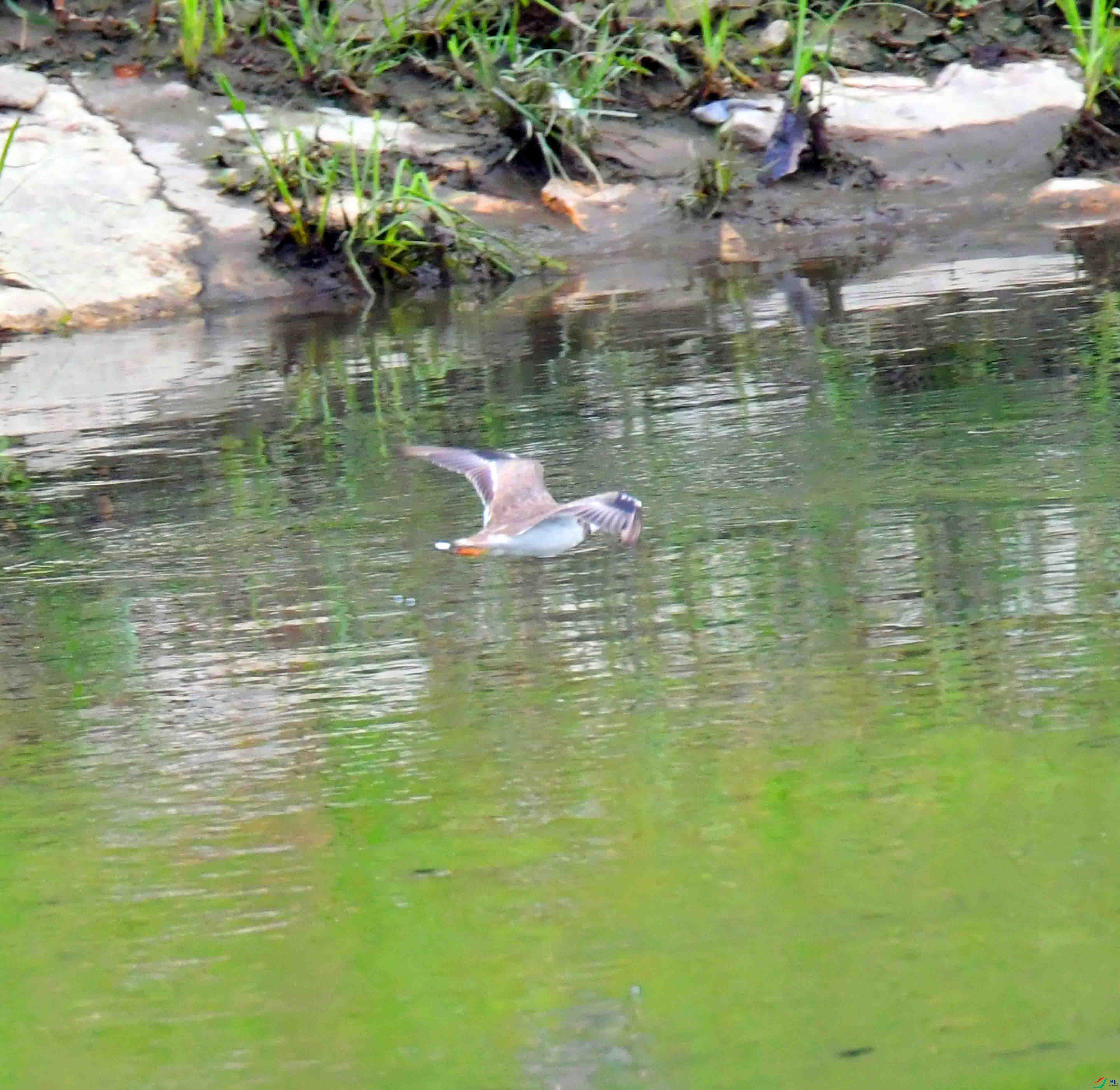 DSC_5472.JPG